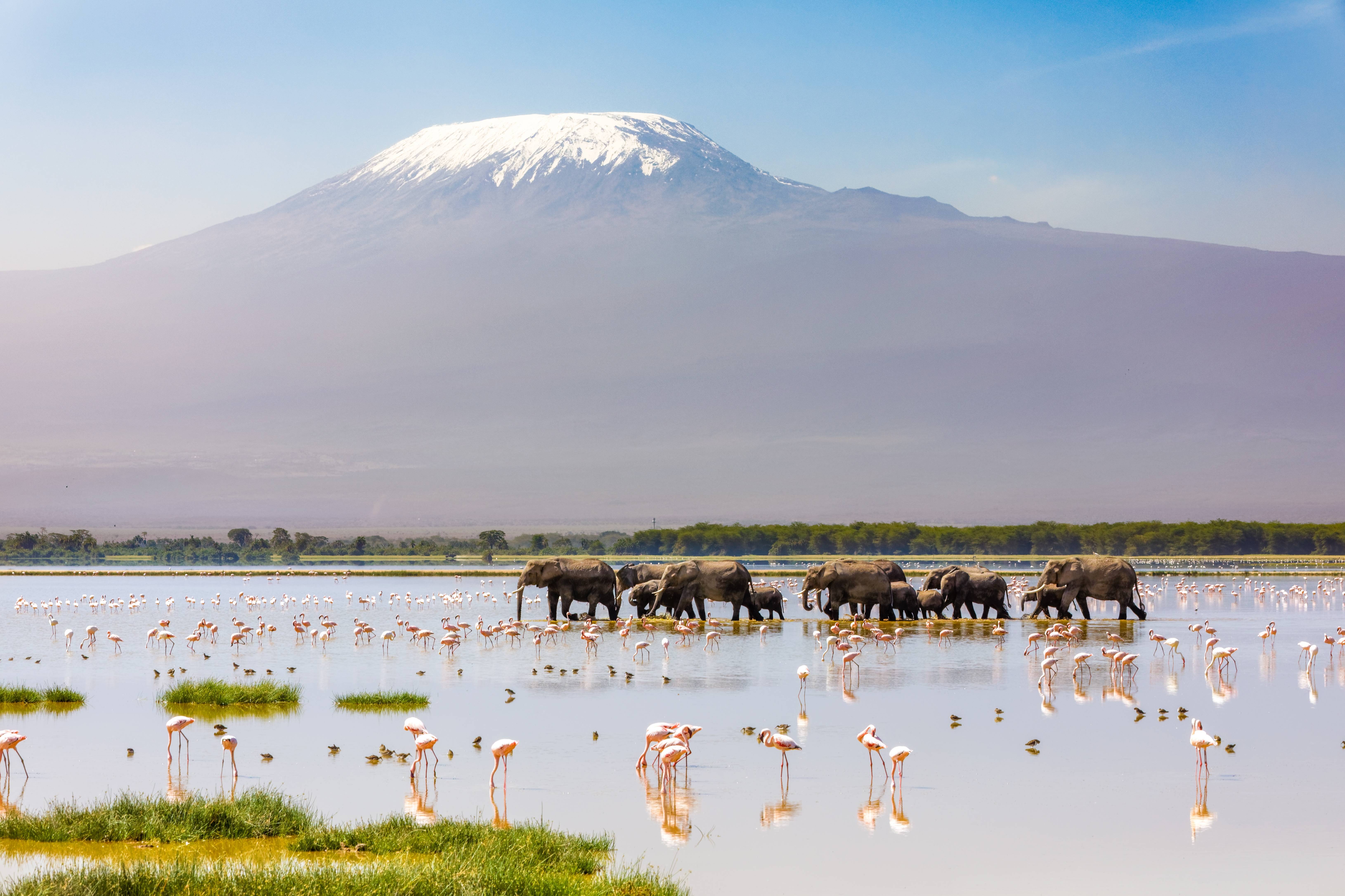 parco amboseli
