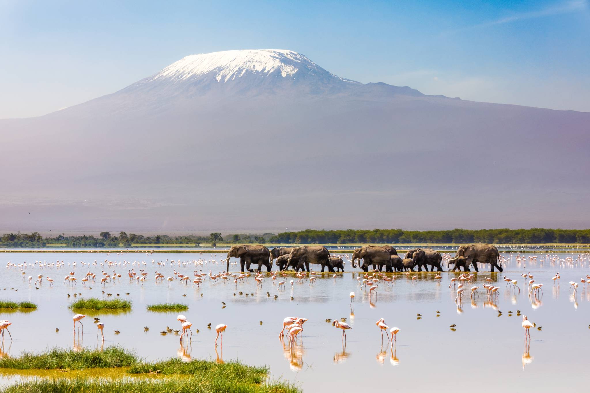 panorama e elefanti amboseli kenya
