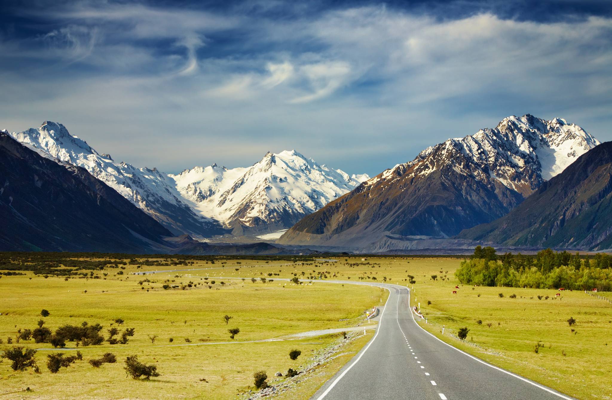 paesaggio nuova zelanda