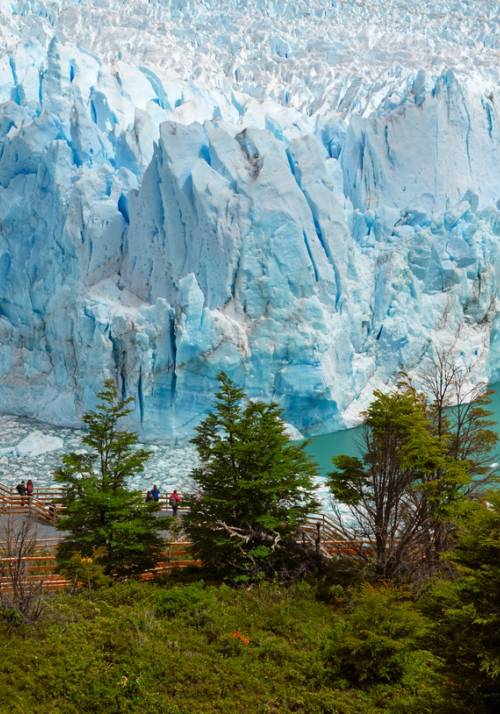 el calafate