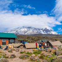 Scalando il Kilimanjaro