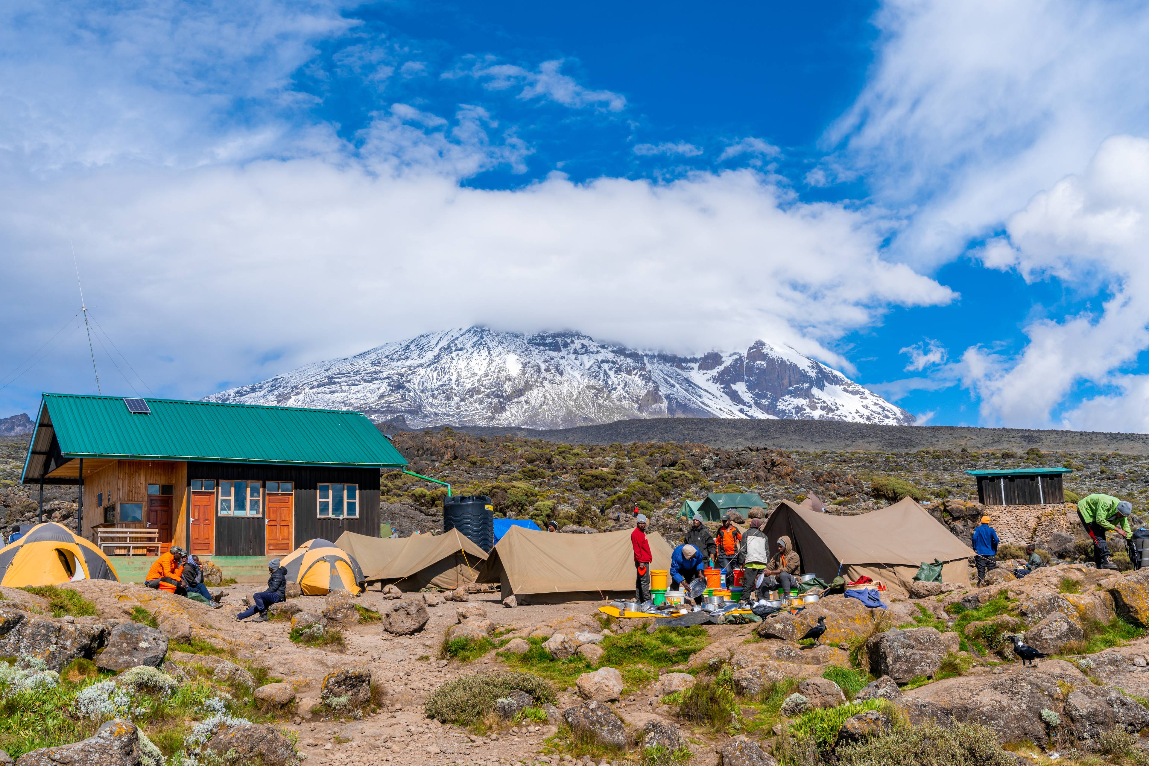 Scalando il Kilimanjaro
