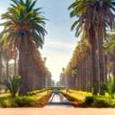 Viaggio in Marocco: da Casablanca a Marrakech