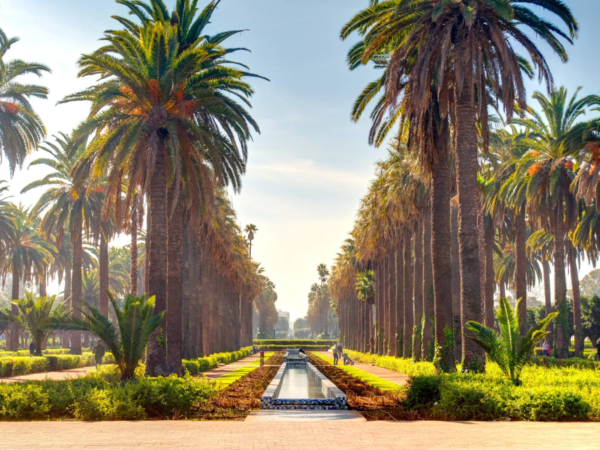 Viaggio in Marocco: da Casablanca a Marrakech cover