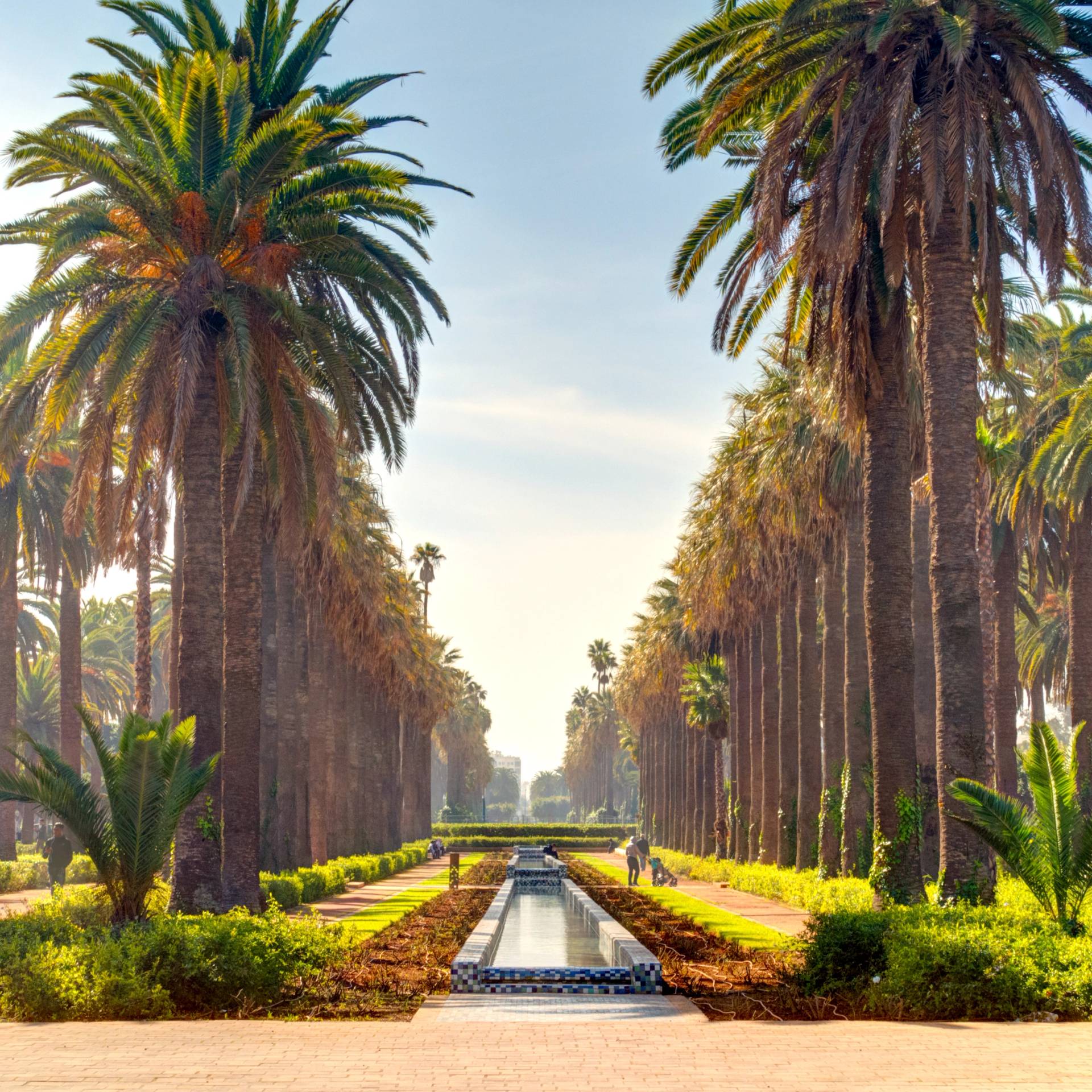 Viaggio in Marocco: da Casablanca a Marrakech