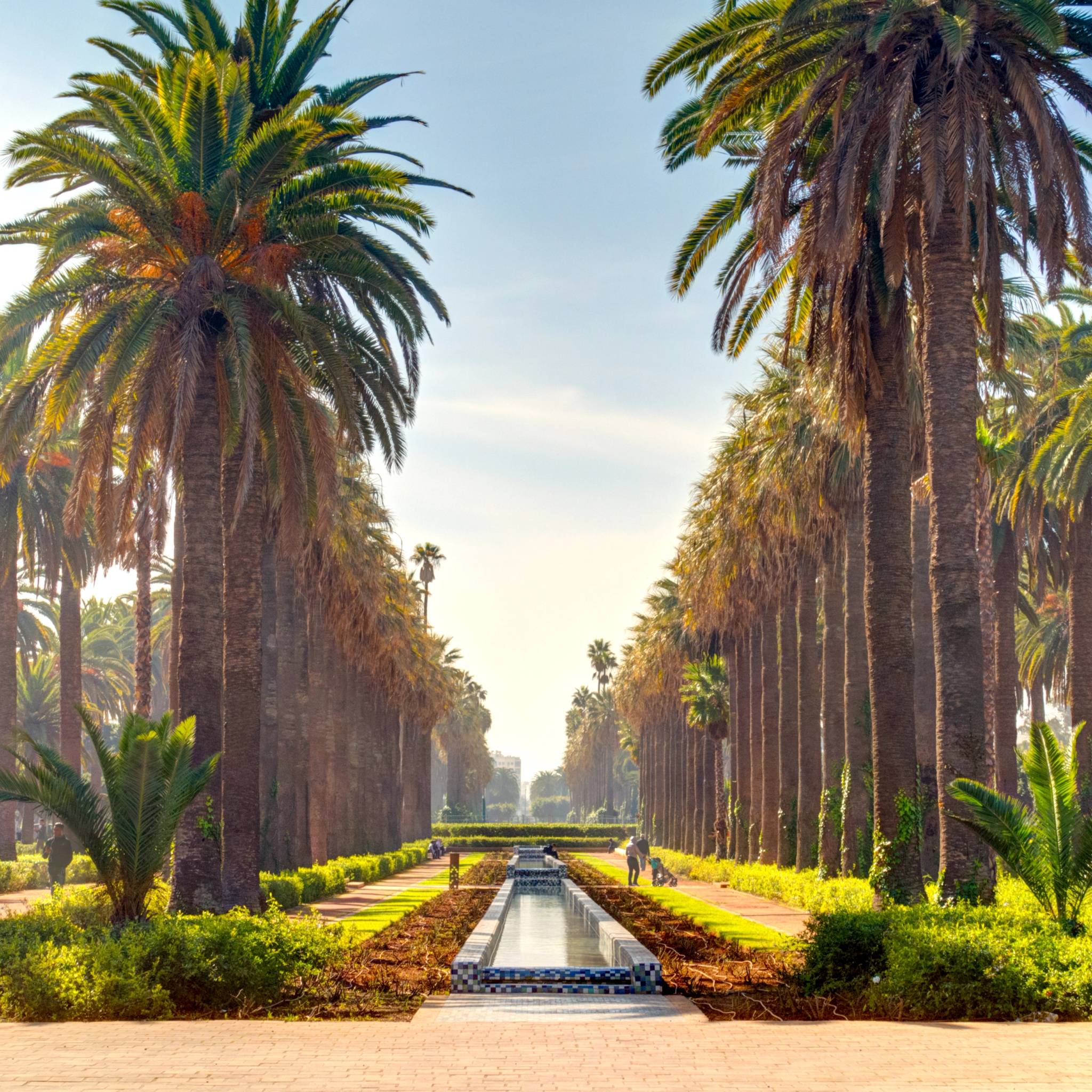 Viaggio in Marocco: da Casablanca a Marrakech