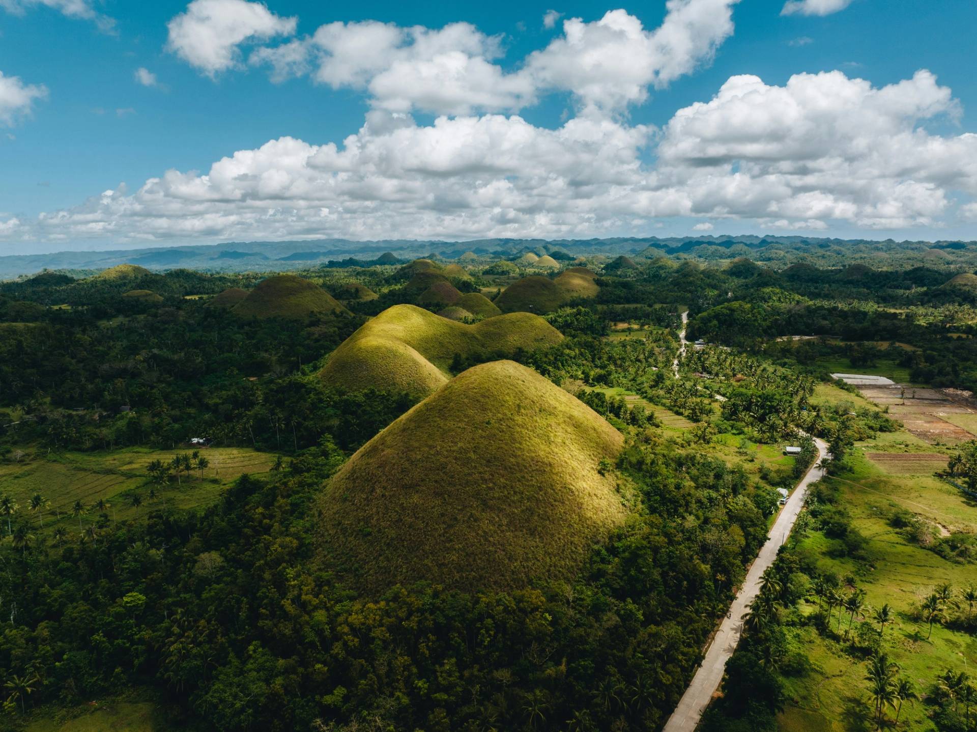 foresta di bohol