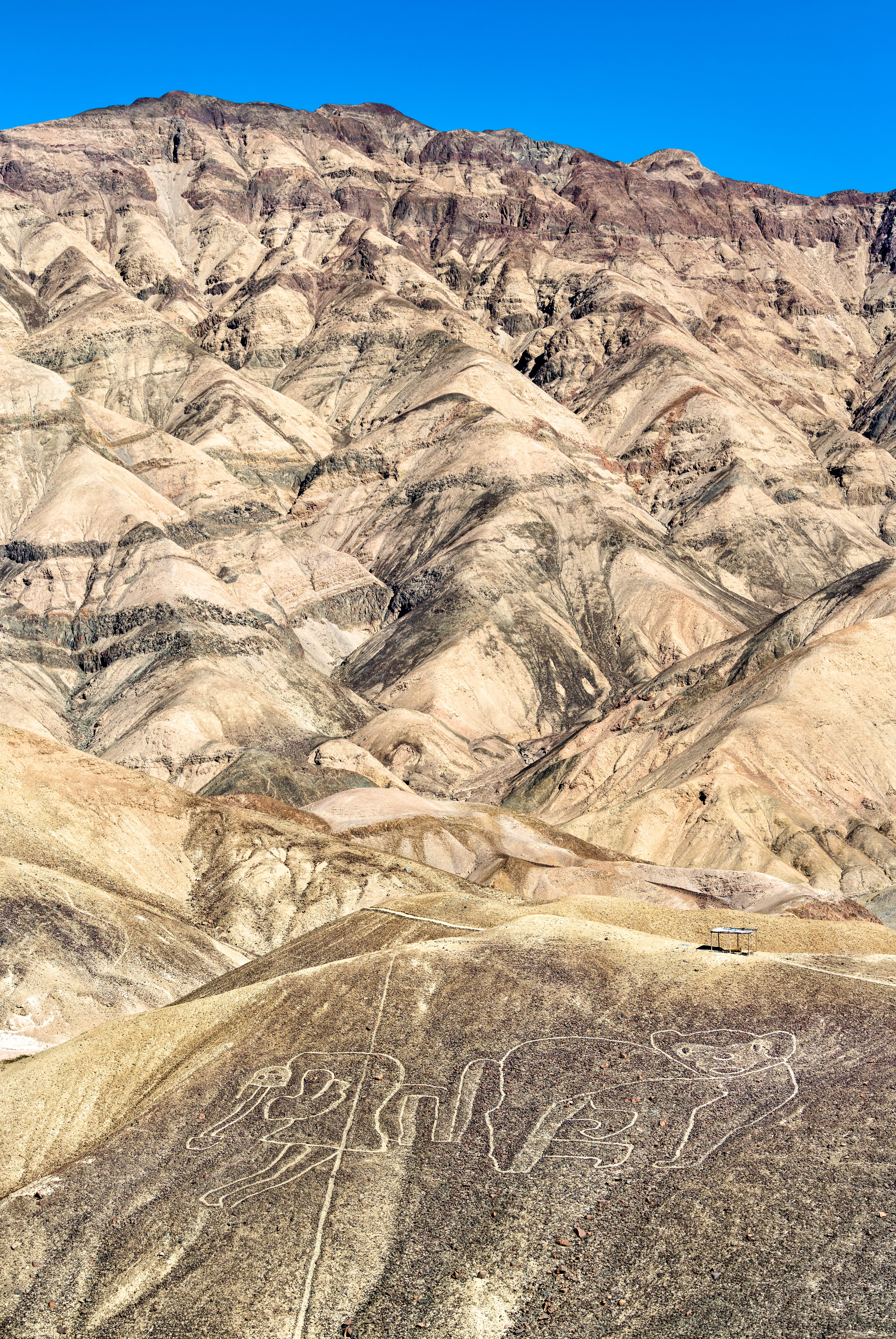 geroglifici nazca peru