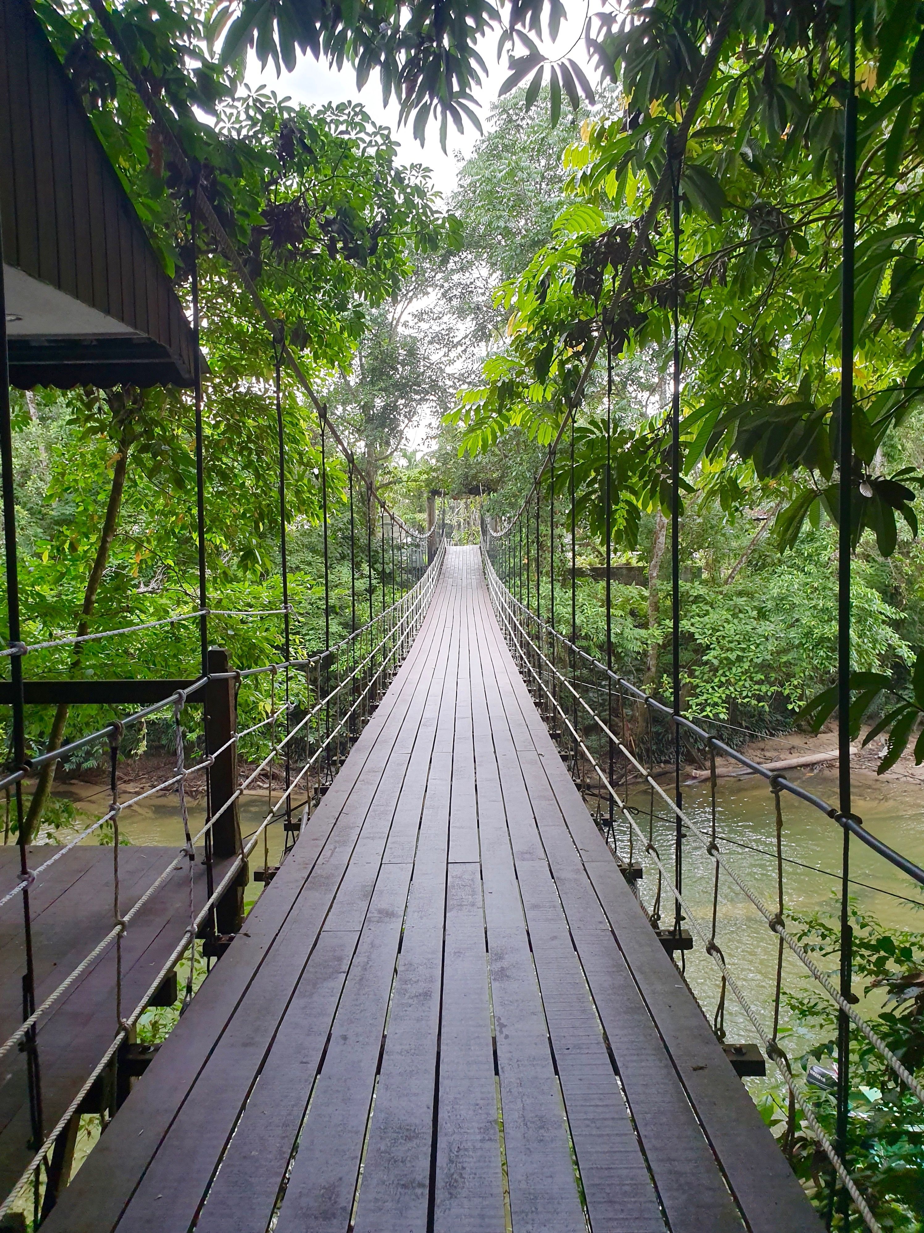 passerella di legno parco di mulu