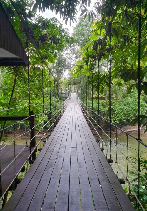 passerella di legno parco di mulu