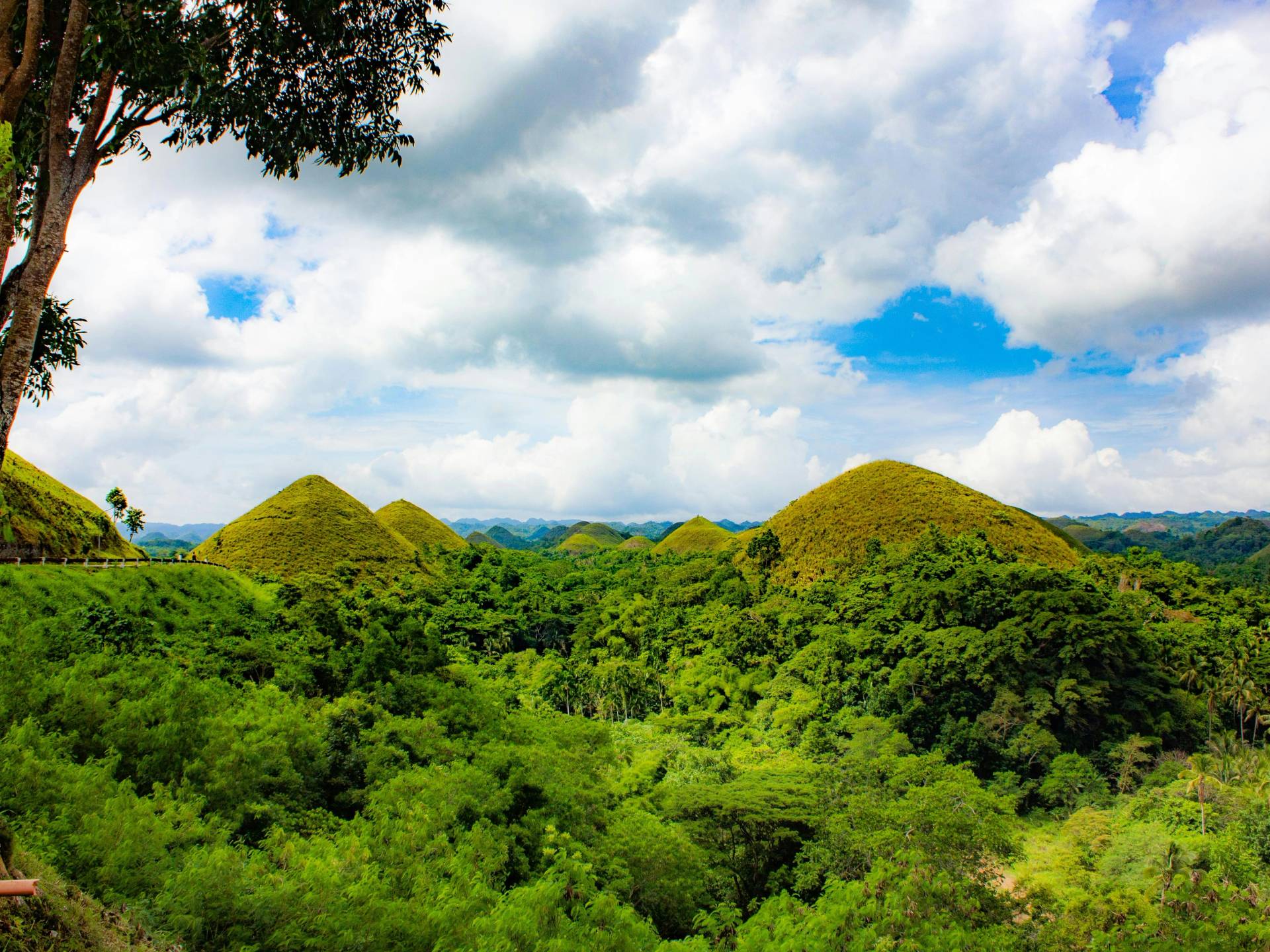 Filippine autentiche: Cebu, Bohol e le Isole Segrete cover