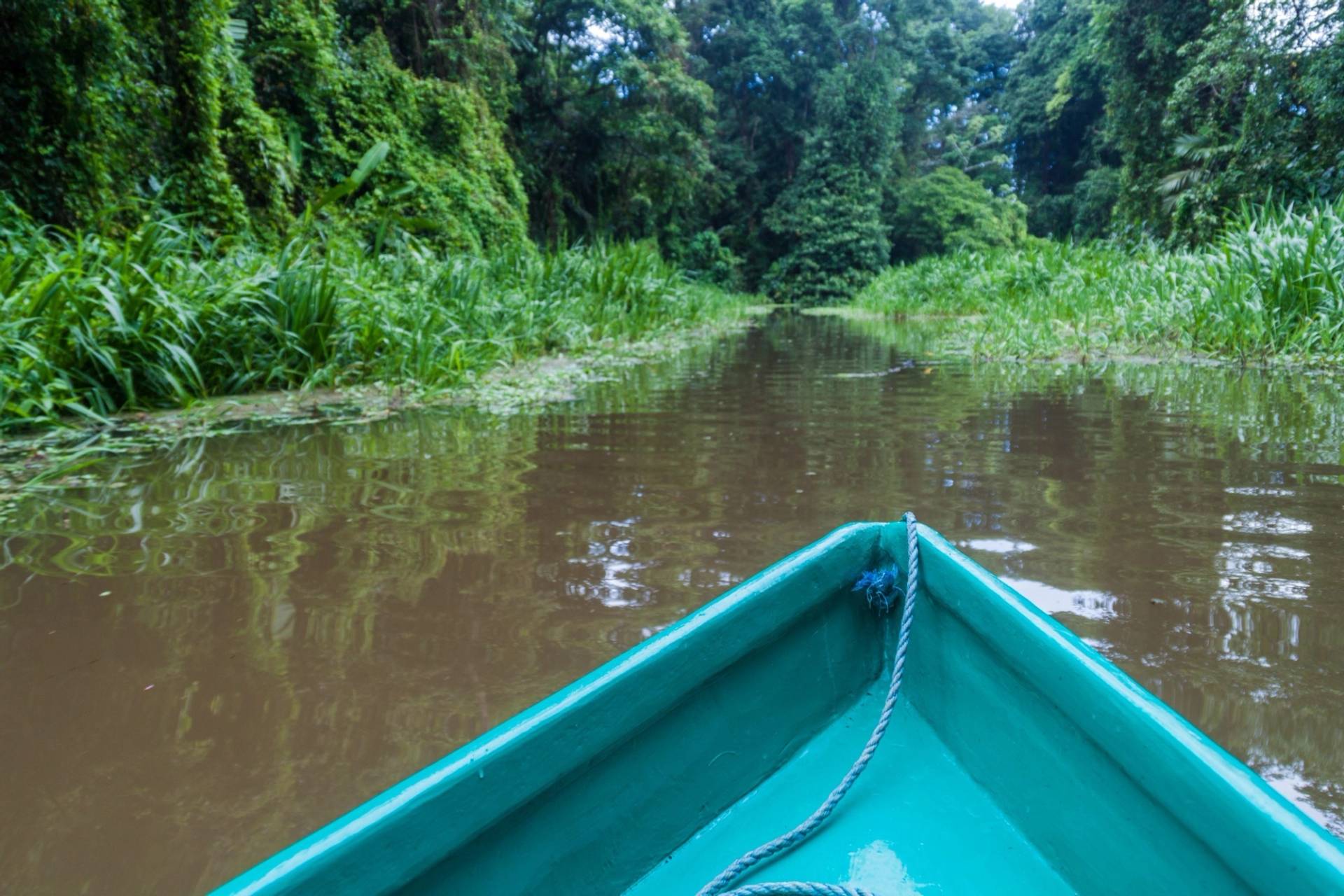 Imbarcazione nel Parco del Tortuguero