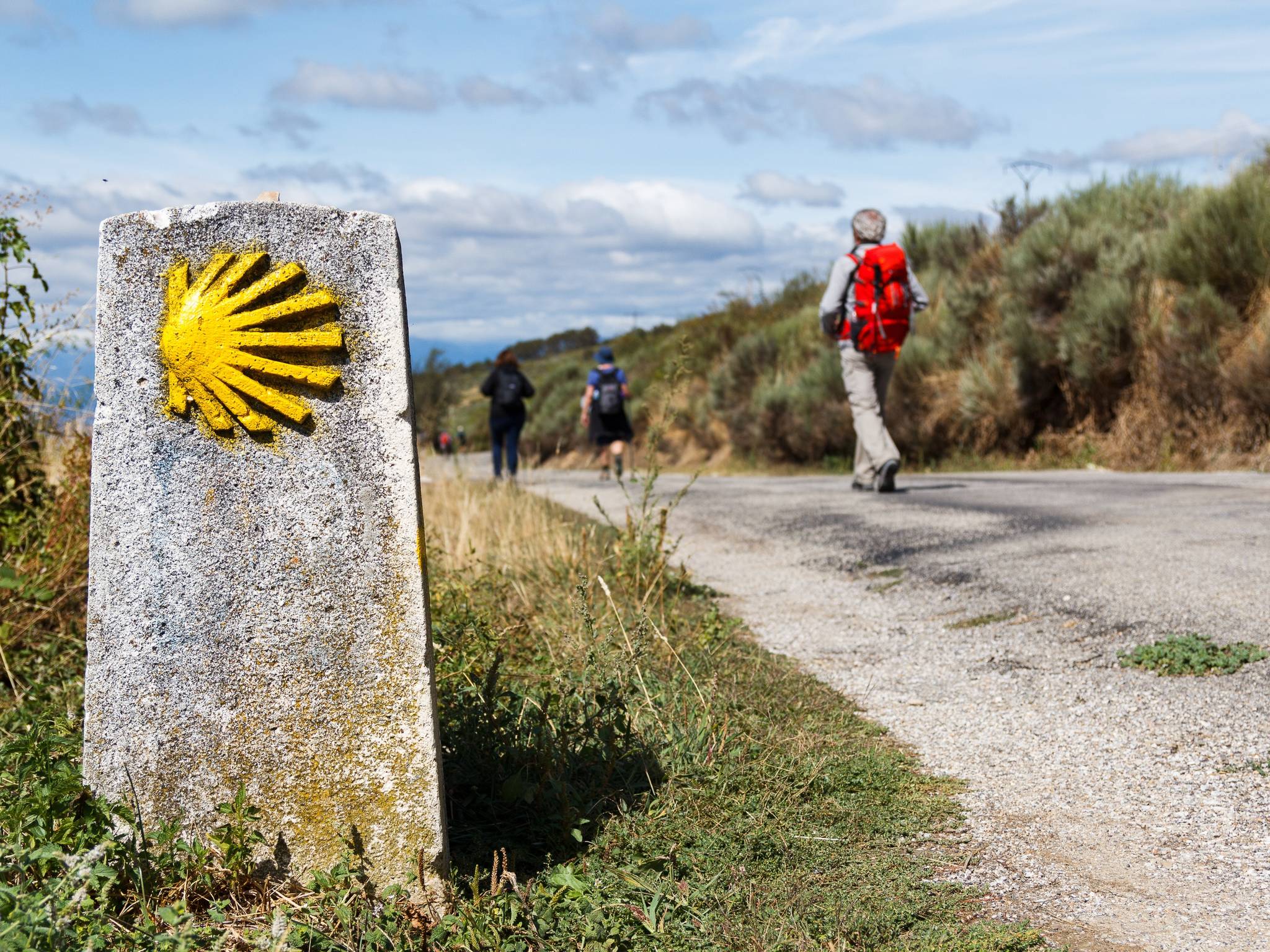 Cammino di Santiago: Tour a Piedi cover
