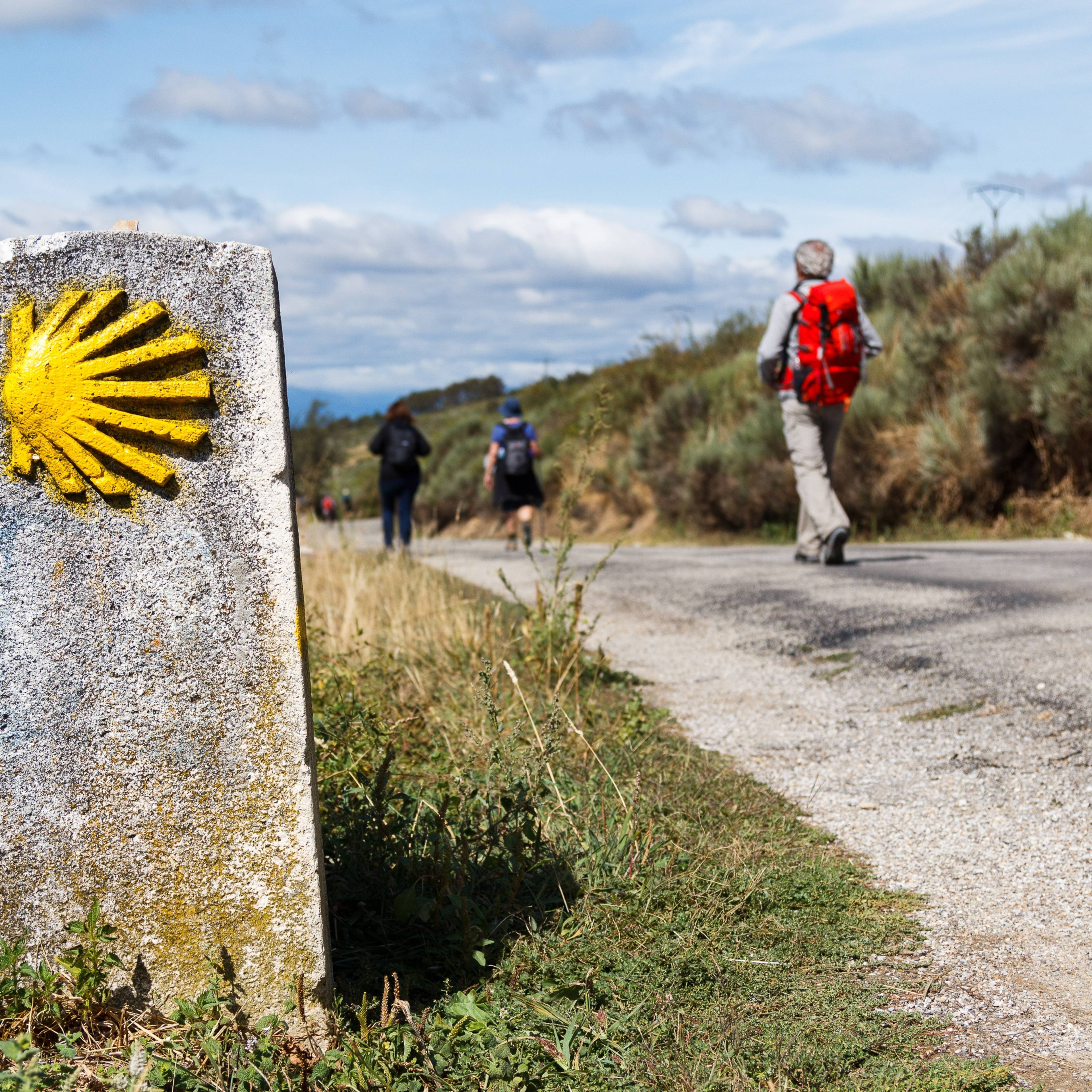 Cammino di Santiago: Tour a Piedi