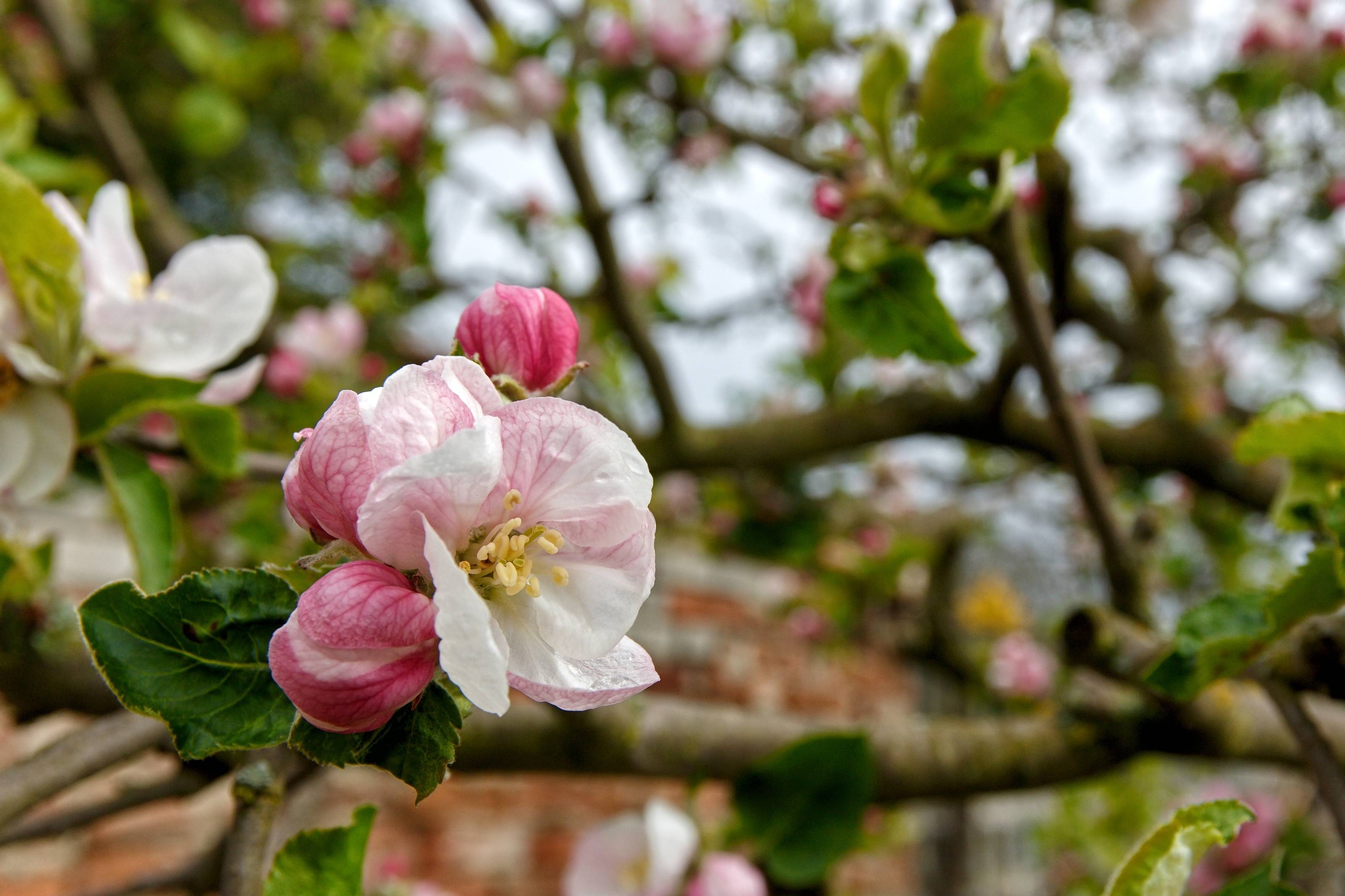 viaggi organizzati a marzo