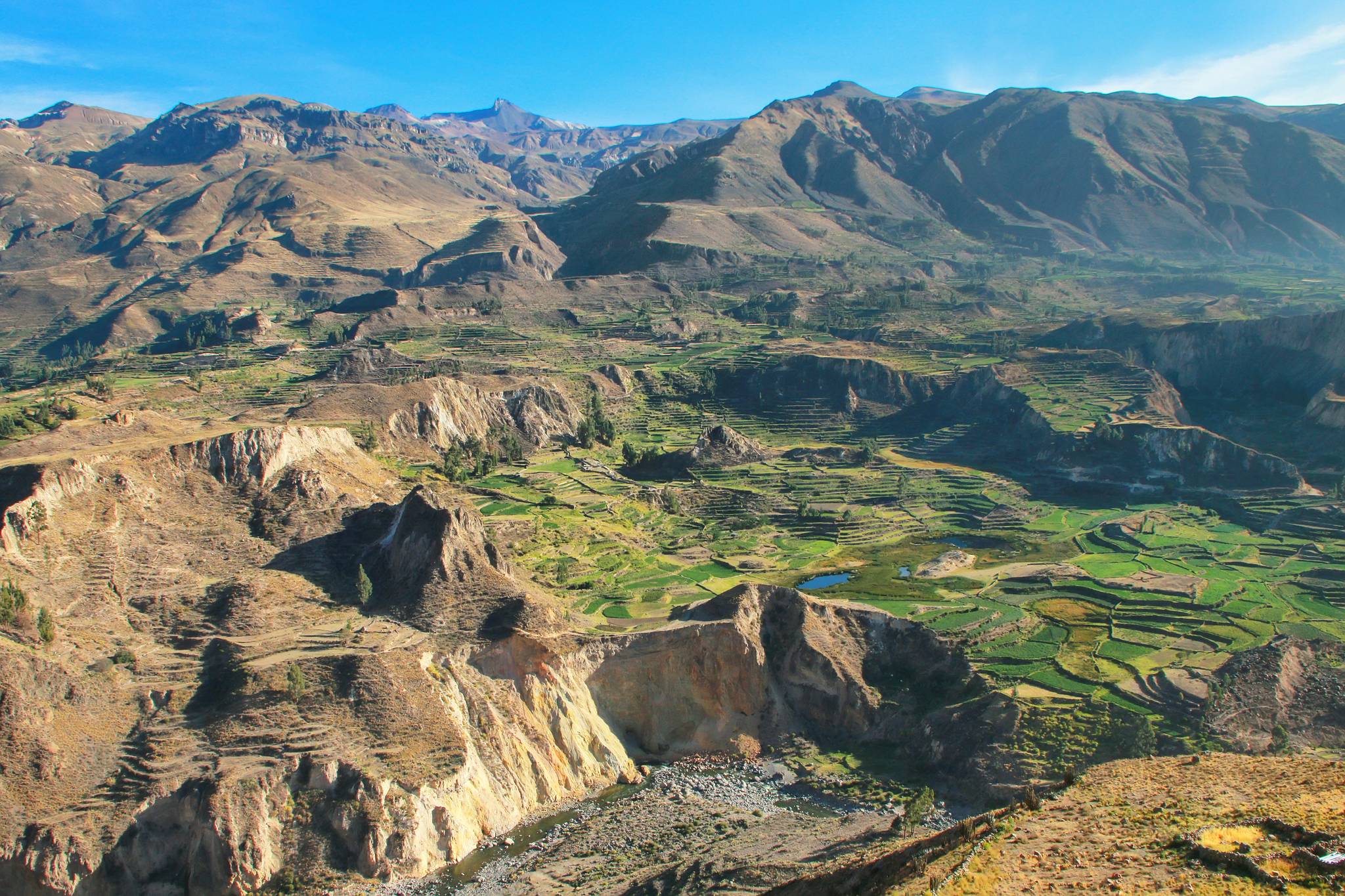 colca