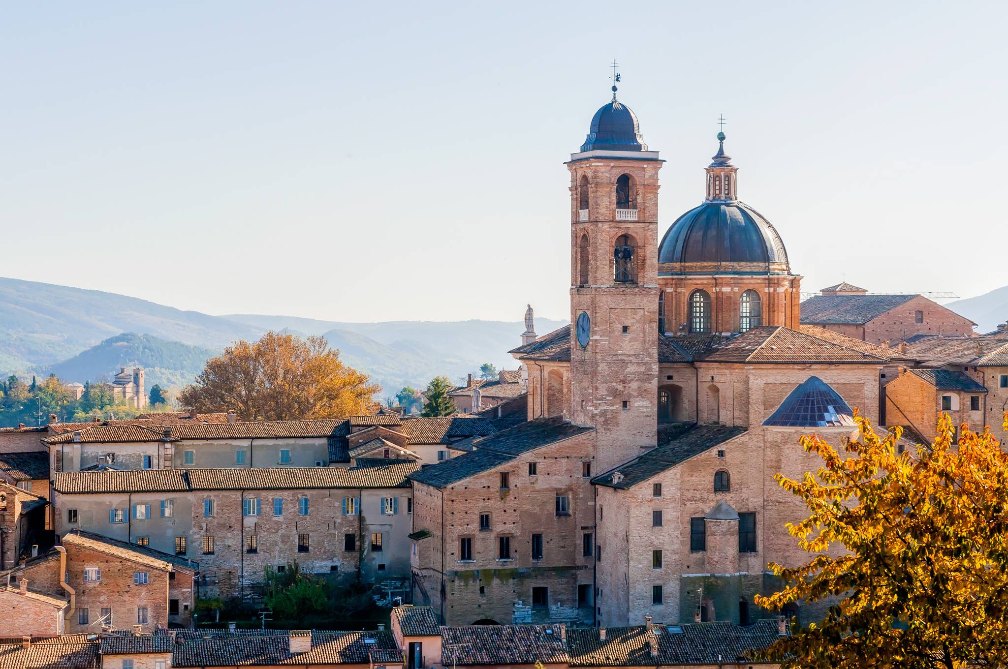 urbino marche