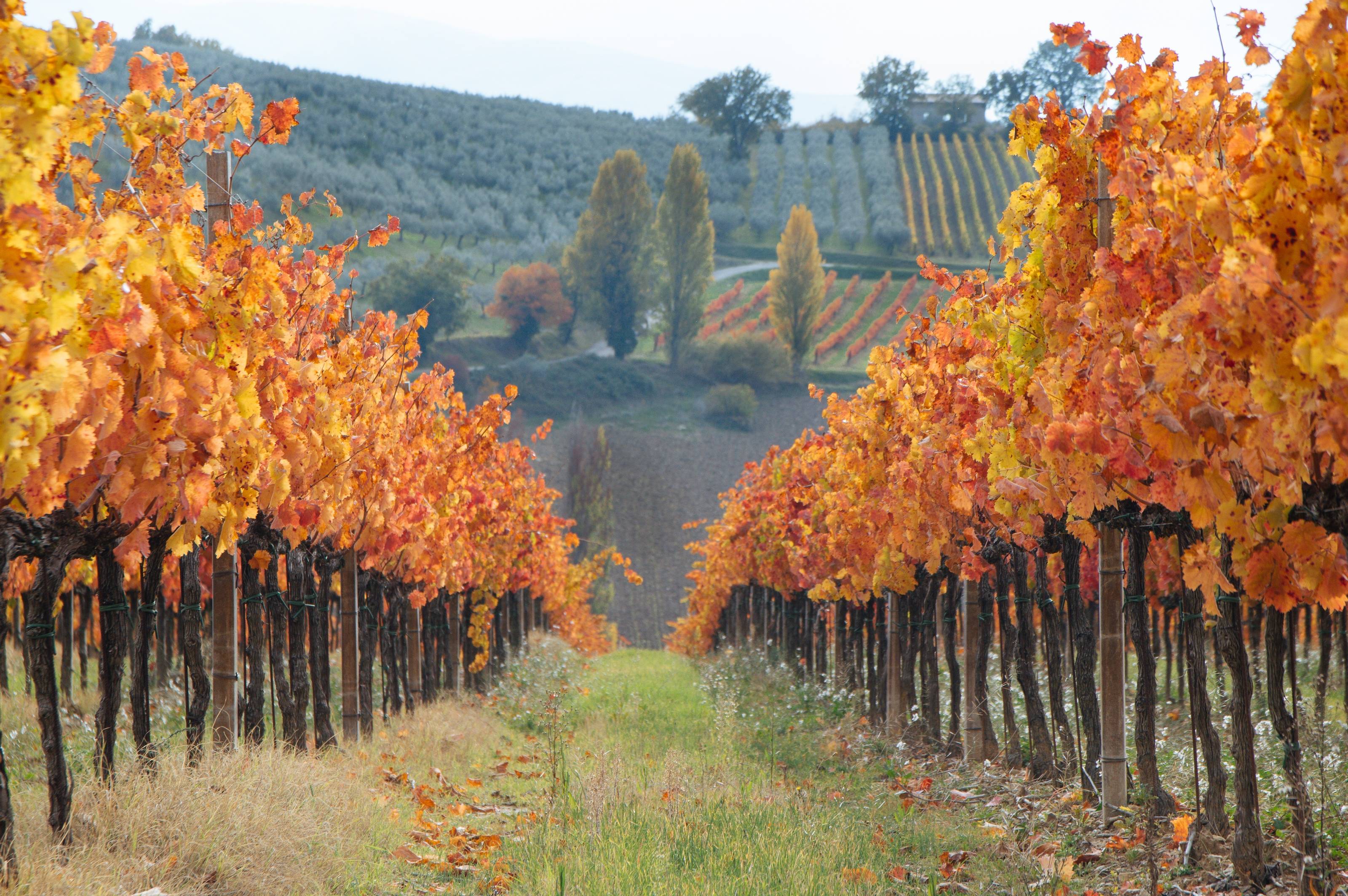 viaggi di gruppo organizzati in autunno