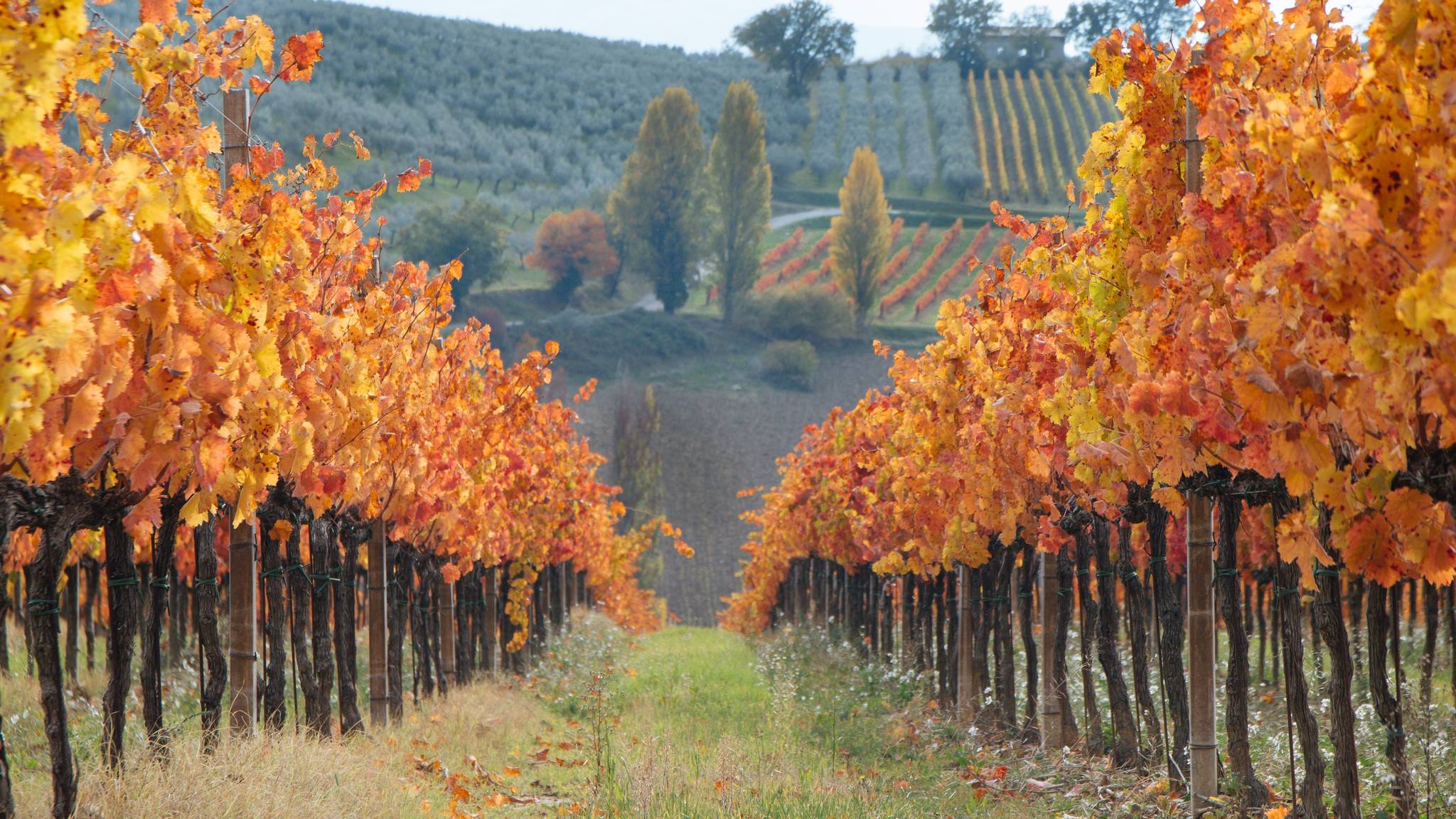 viaggi di gruppo organizzati in autunno