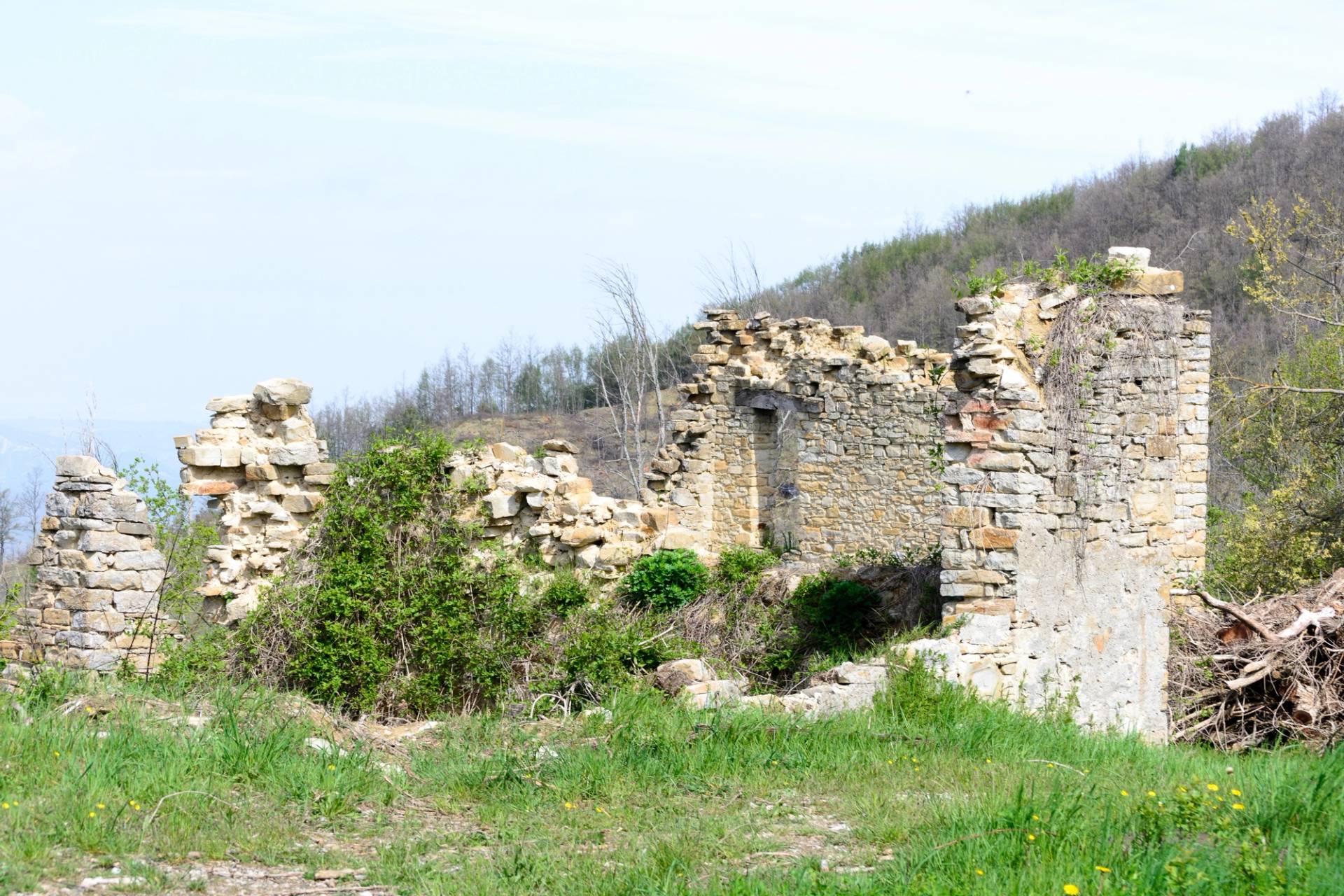 Olmo Mura