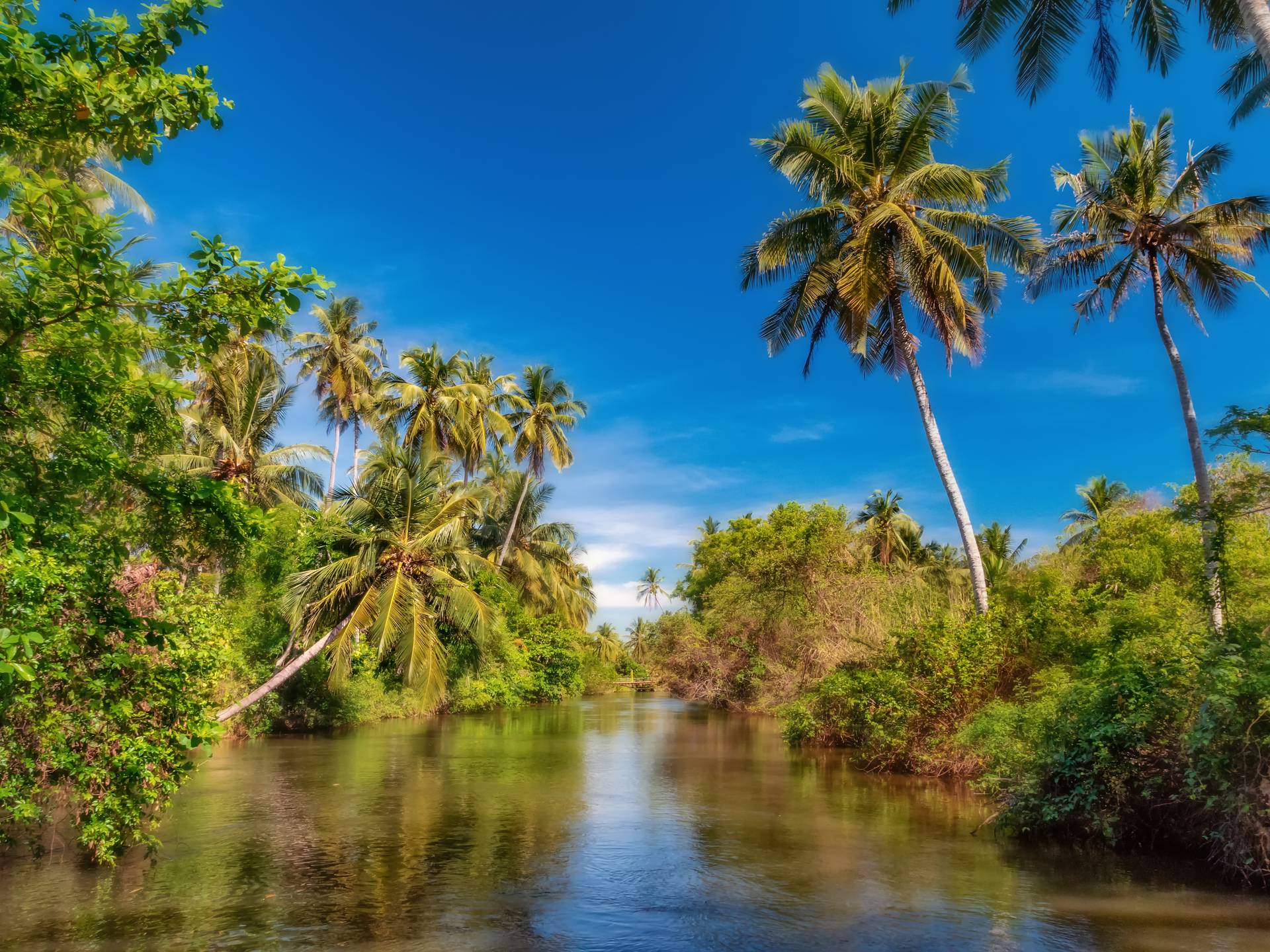 Exploring Sri Lanka cover