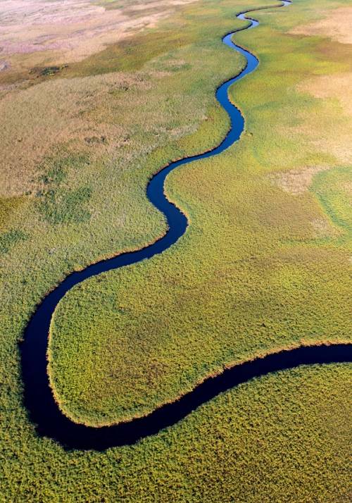 delta okavango
