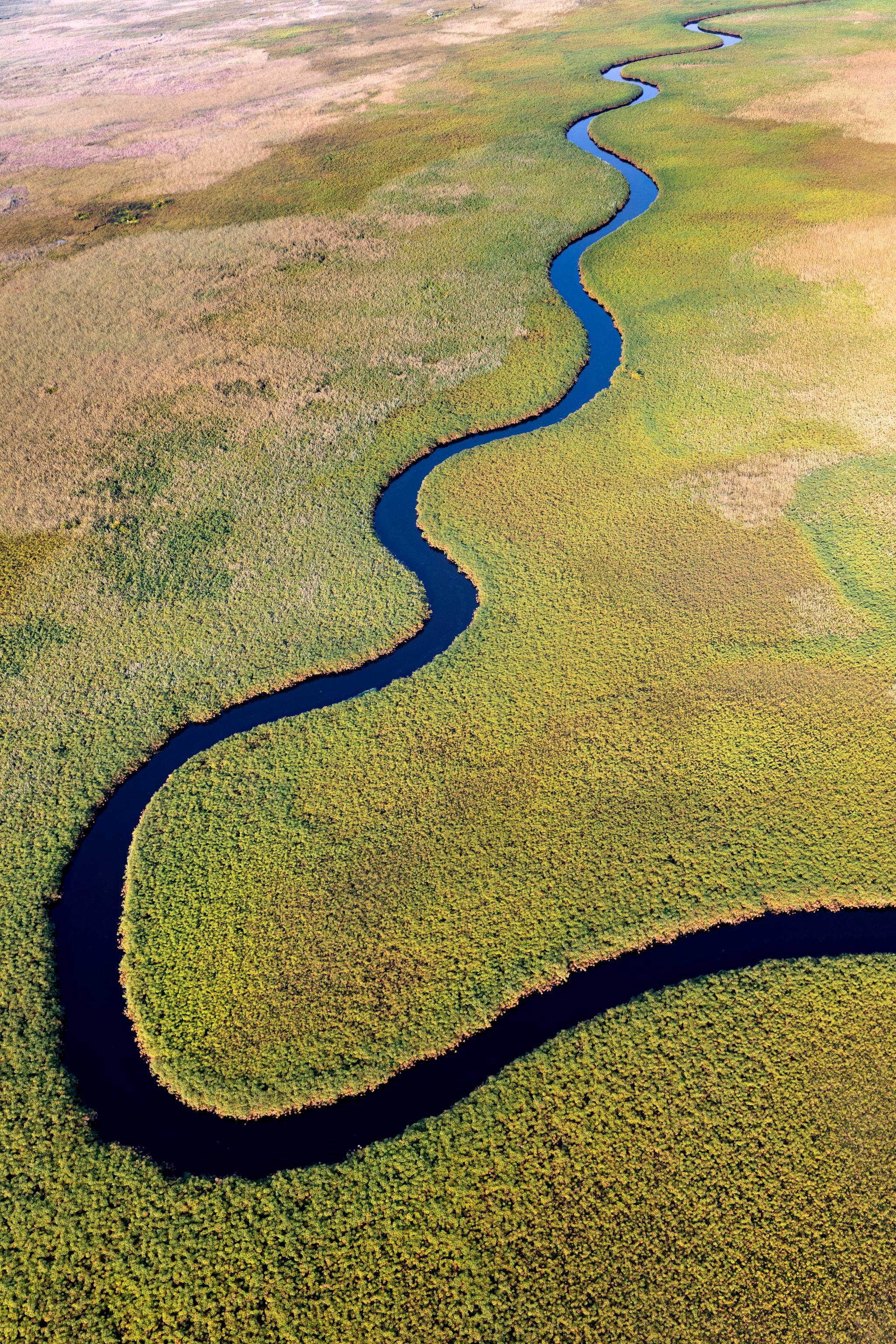 fiume okavango