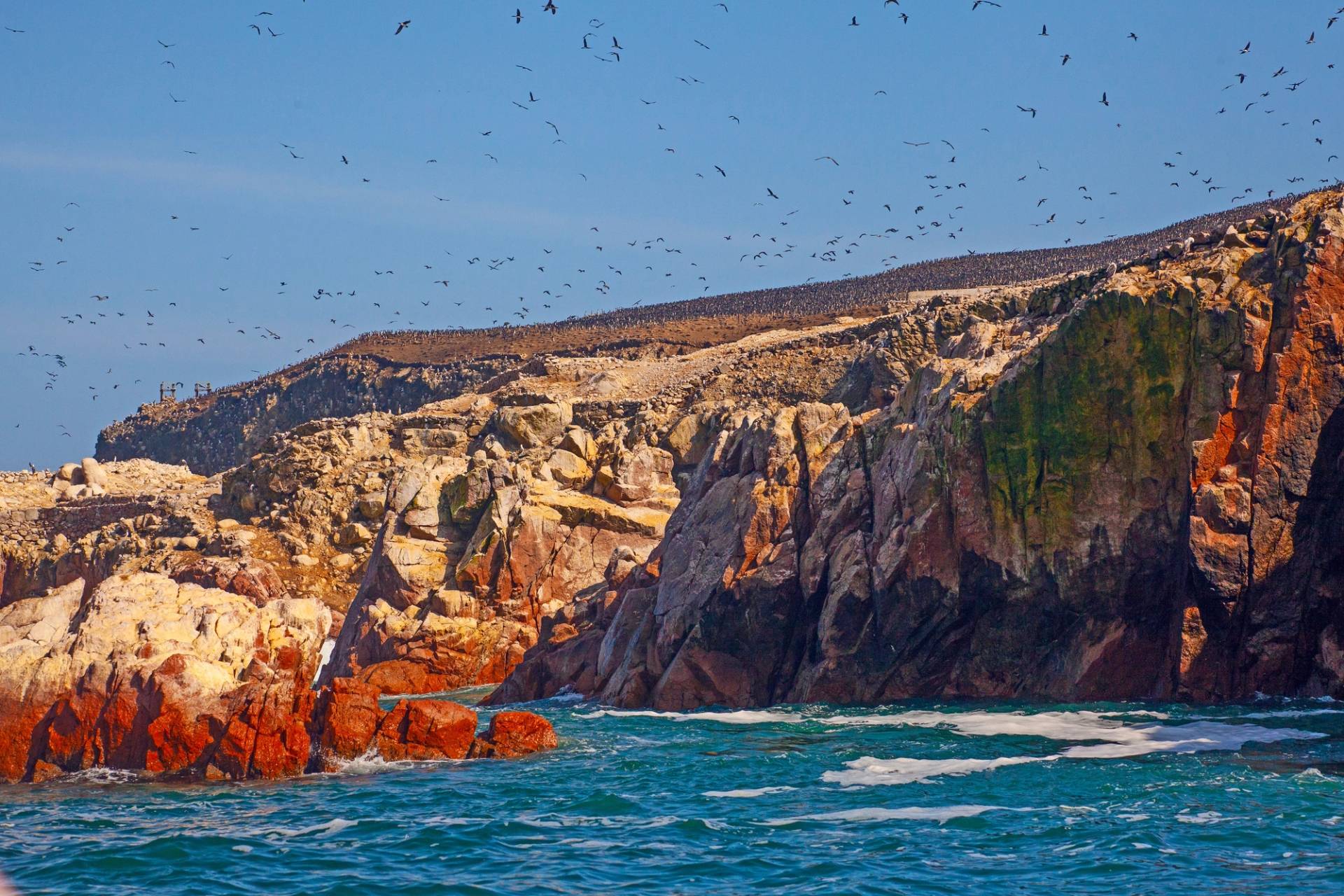 ballestas