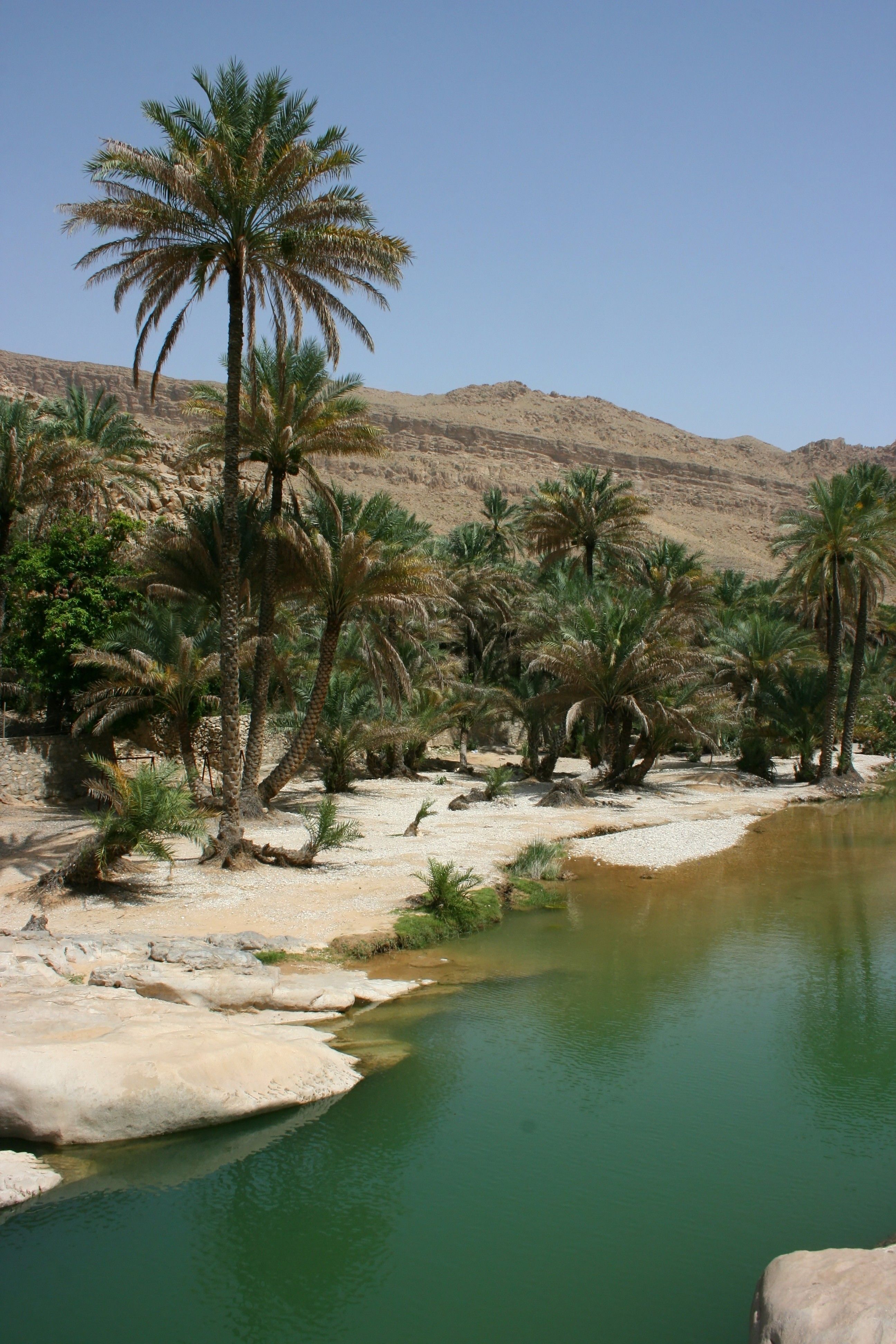 wadi bani khalid