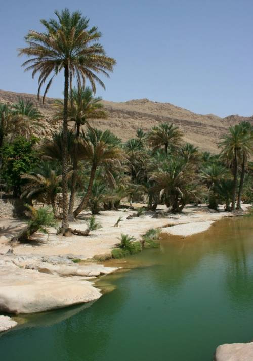 wadi bani khalid