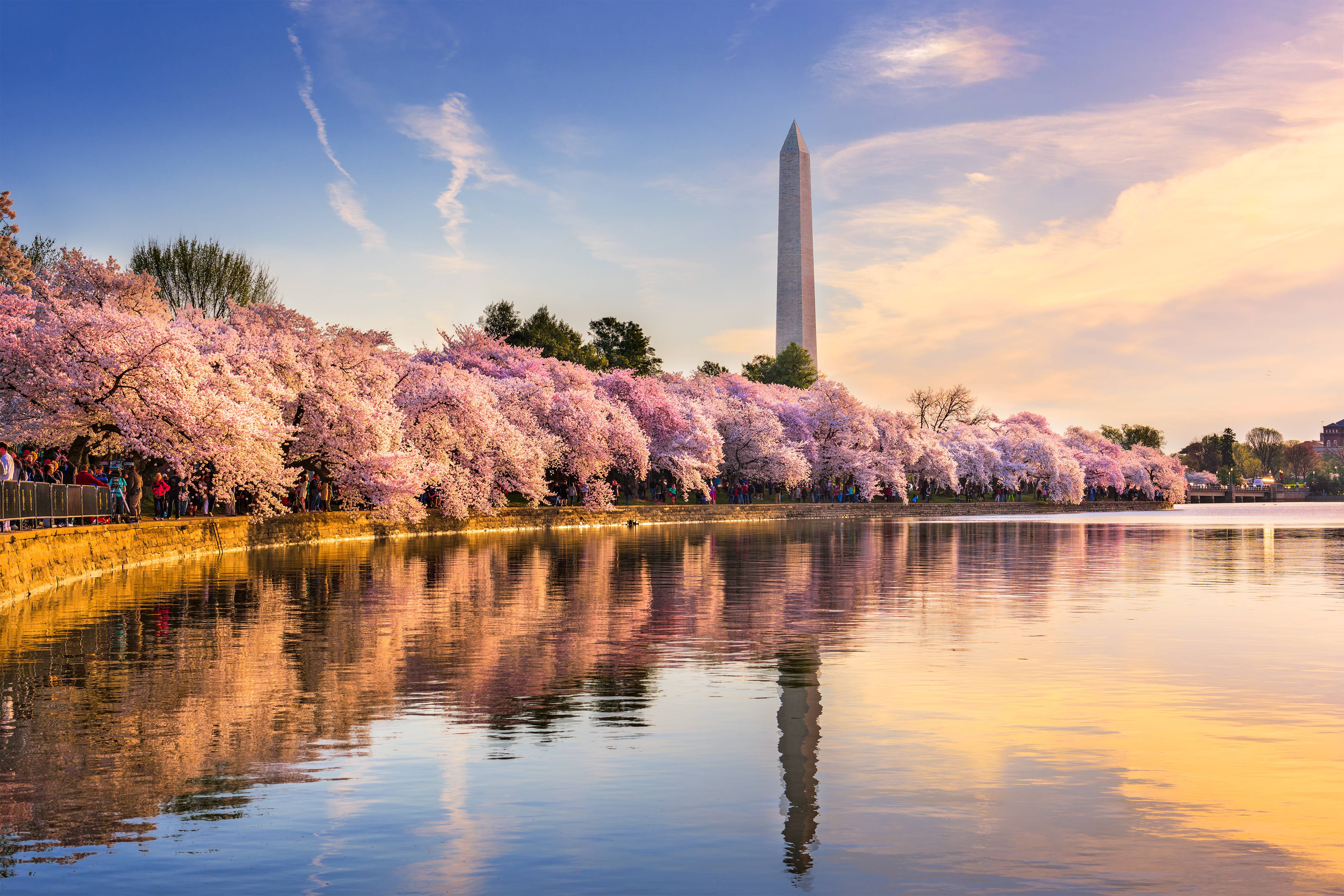 panorama di washington