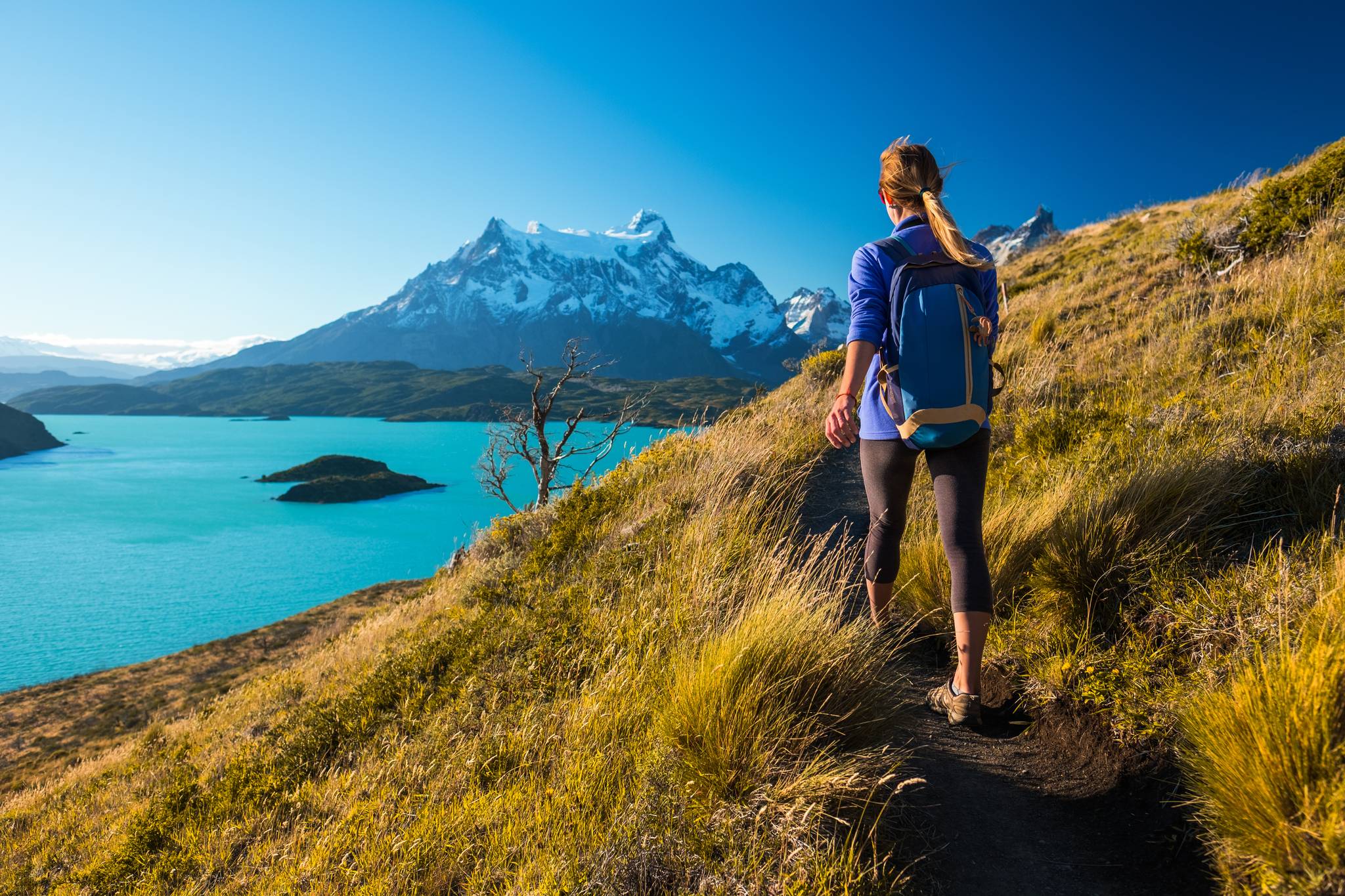 torres del paine