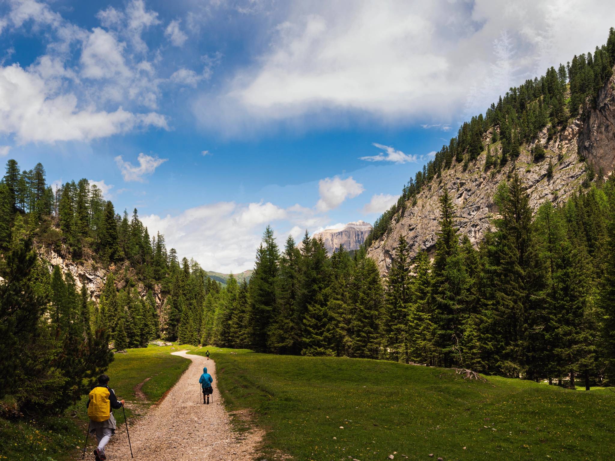 Estate tra le Dolomiti: Canazei e Val di Fassa cover
