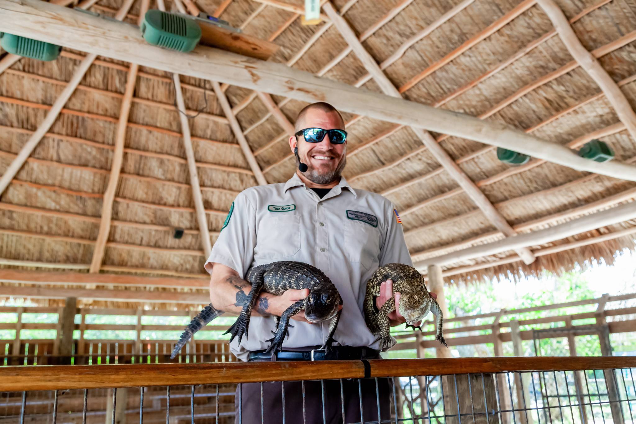 ranger con in mano cuccioli di coccodrillo everglades