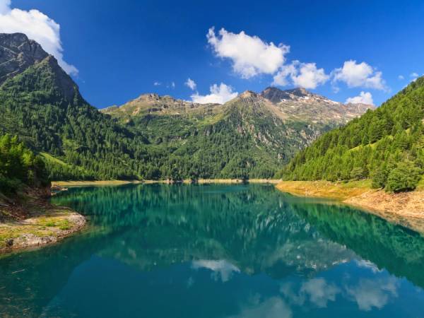 Trentino bio: il divertimento naturale cover