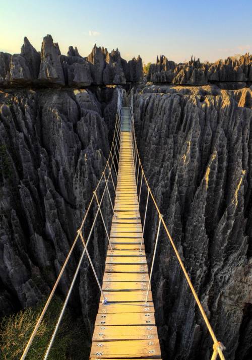 ponte tibetano nel tsingy rouge canyon
