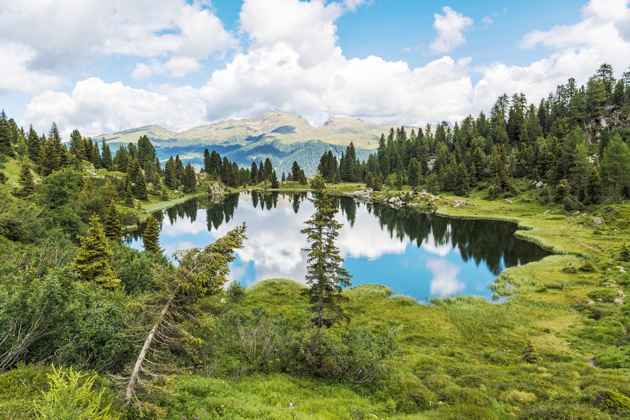 lago di colbricon sulle dolomiti