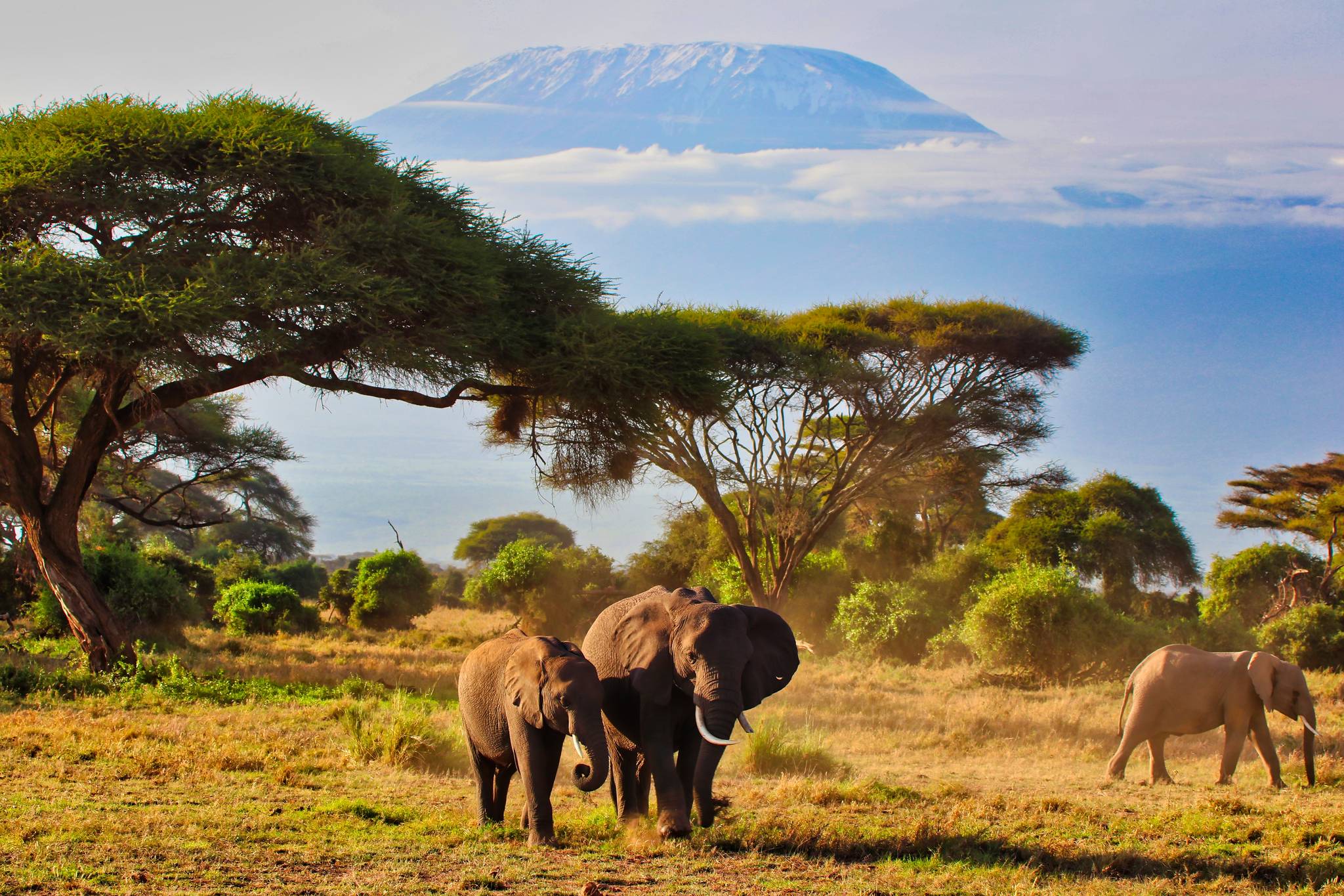 parco amboseli