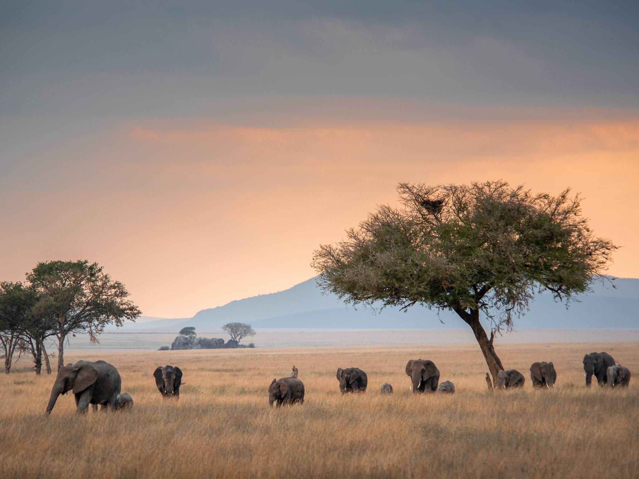 Viaggio in Tanzania cover