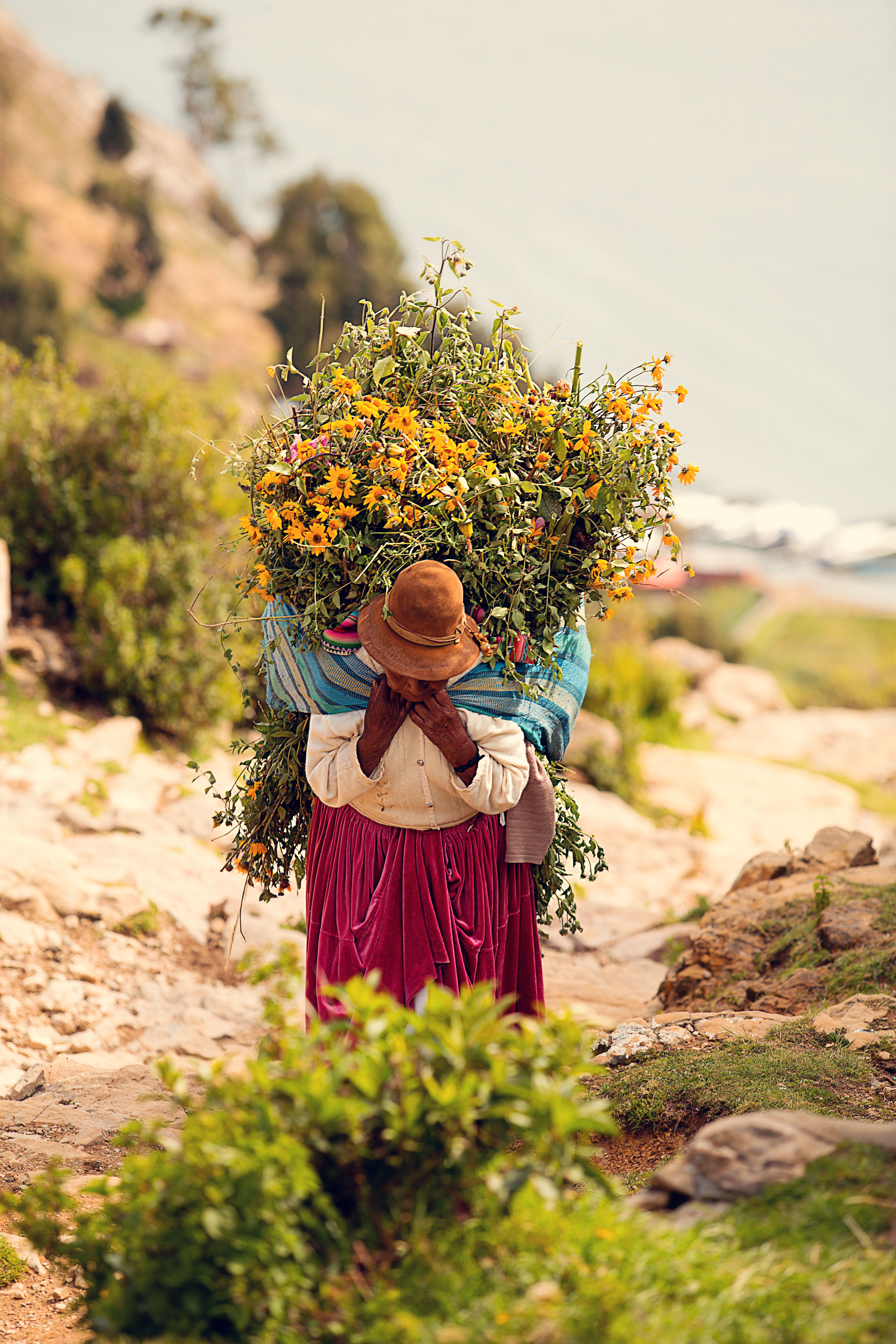 donna boliviana che trasporta fiori
