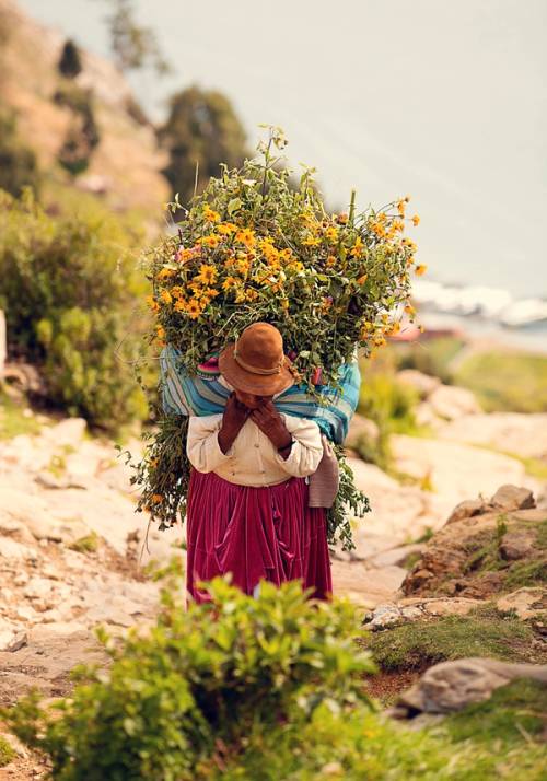 donna boliviana che trasporta fiori