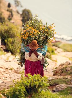 donna boliviana che trasporta fiori