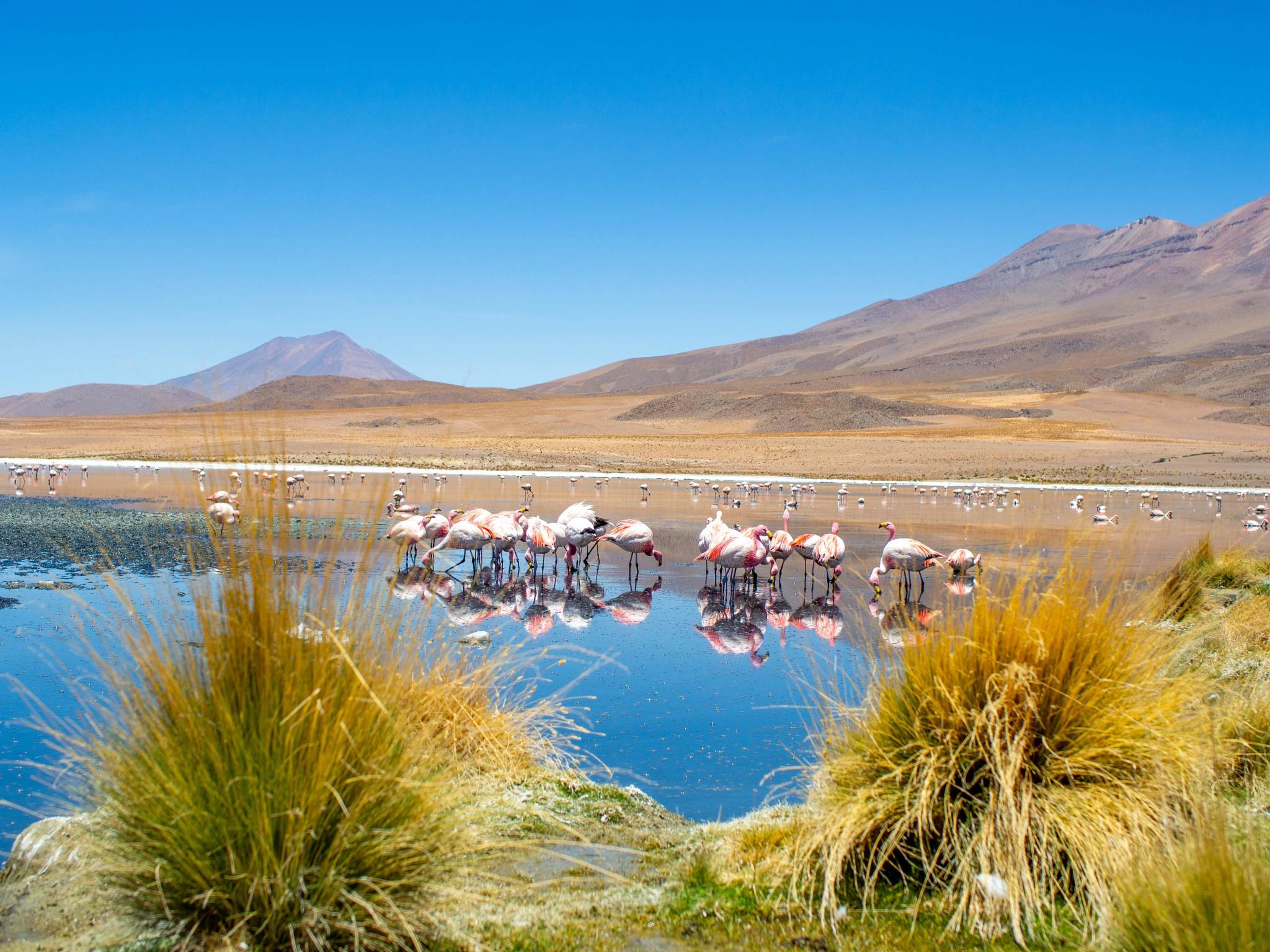 laguna hedionda