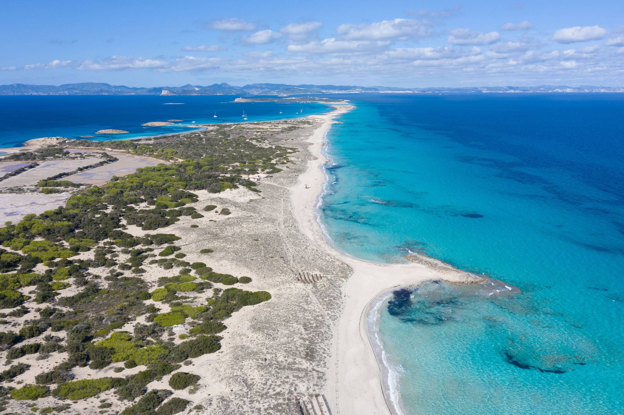 riserva naturale di espalmador