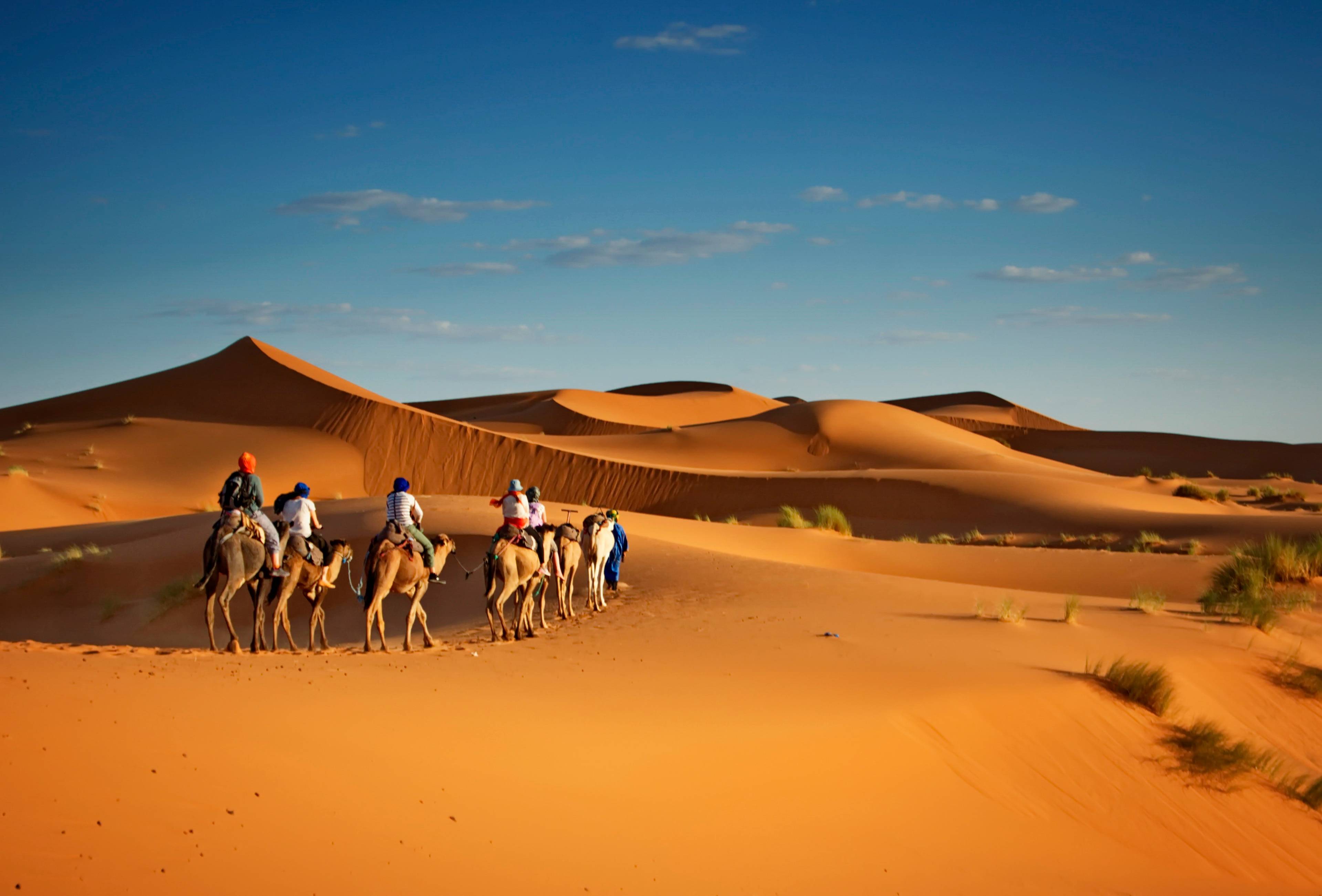escursione cammelli deserto sahara marocco