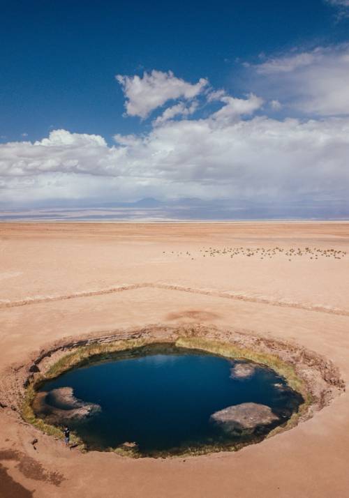 ojo de perdiz