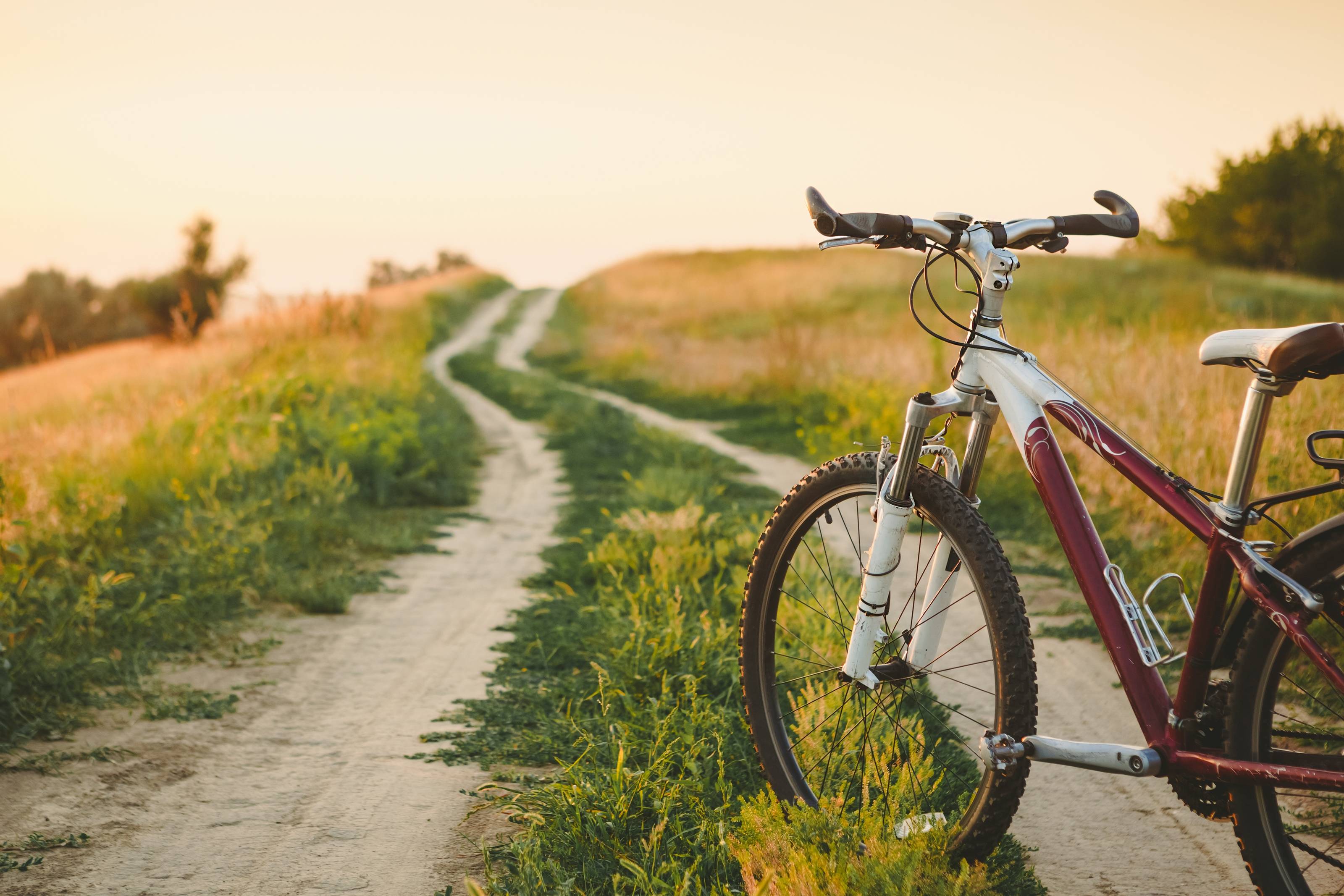 viaggi organizzati in bicicletta