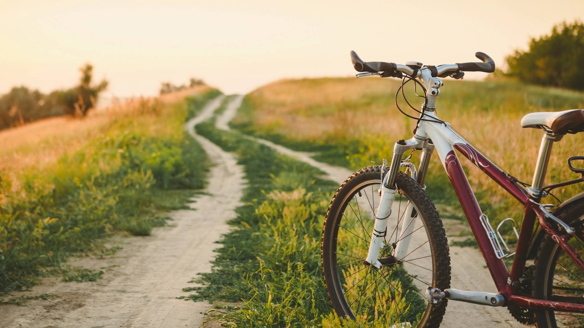 organized bicycle tours