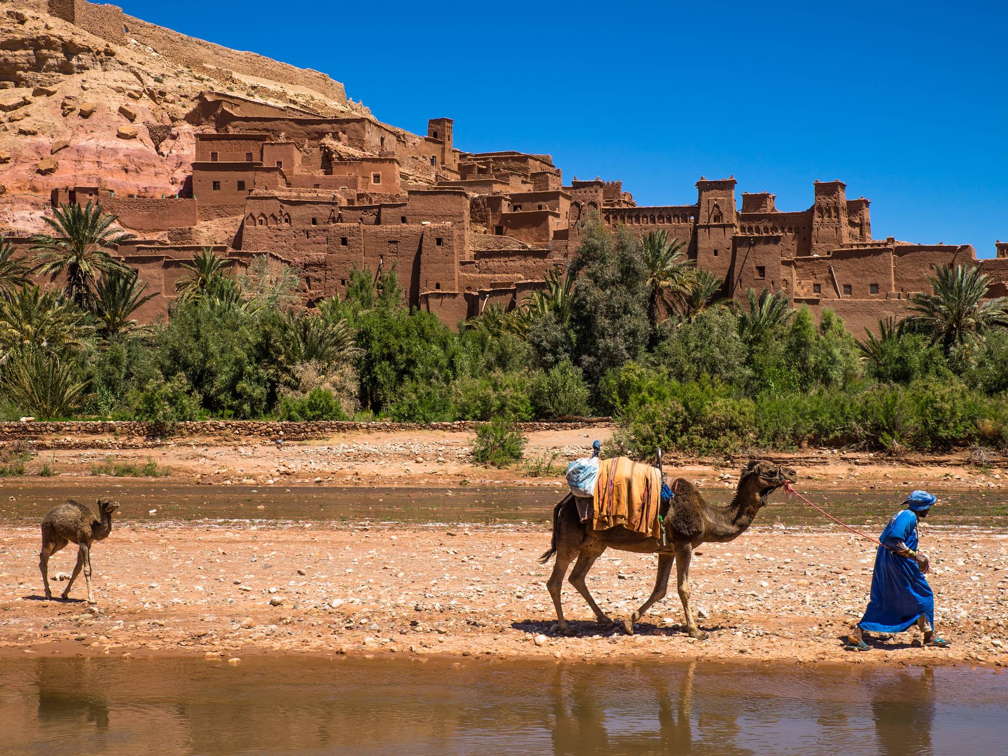 Tour del sud del Marocco cover