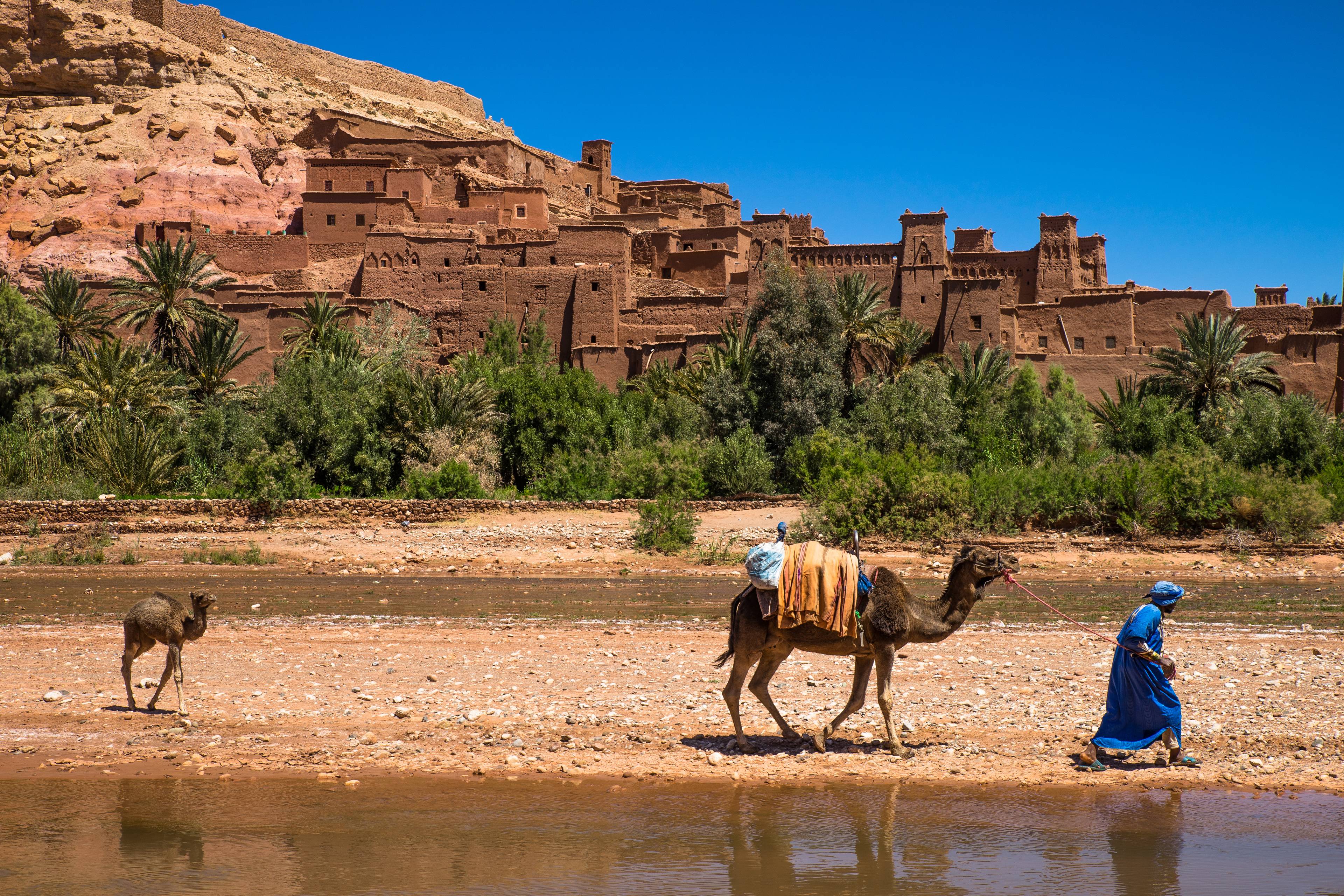 Tour del sud del Marocco cover